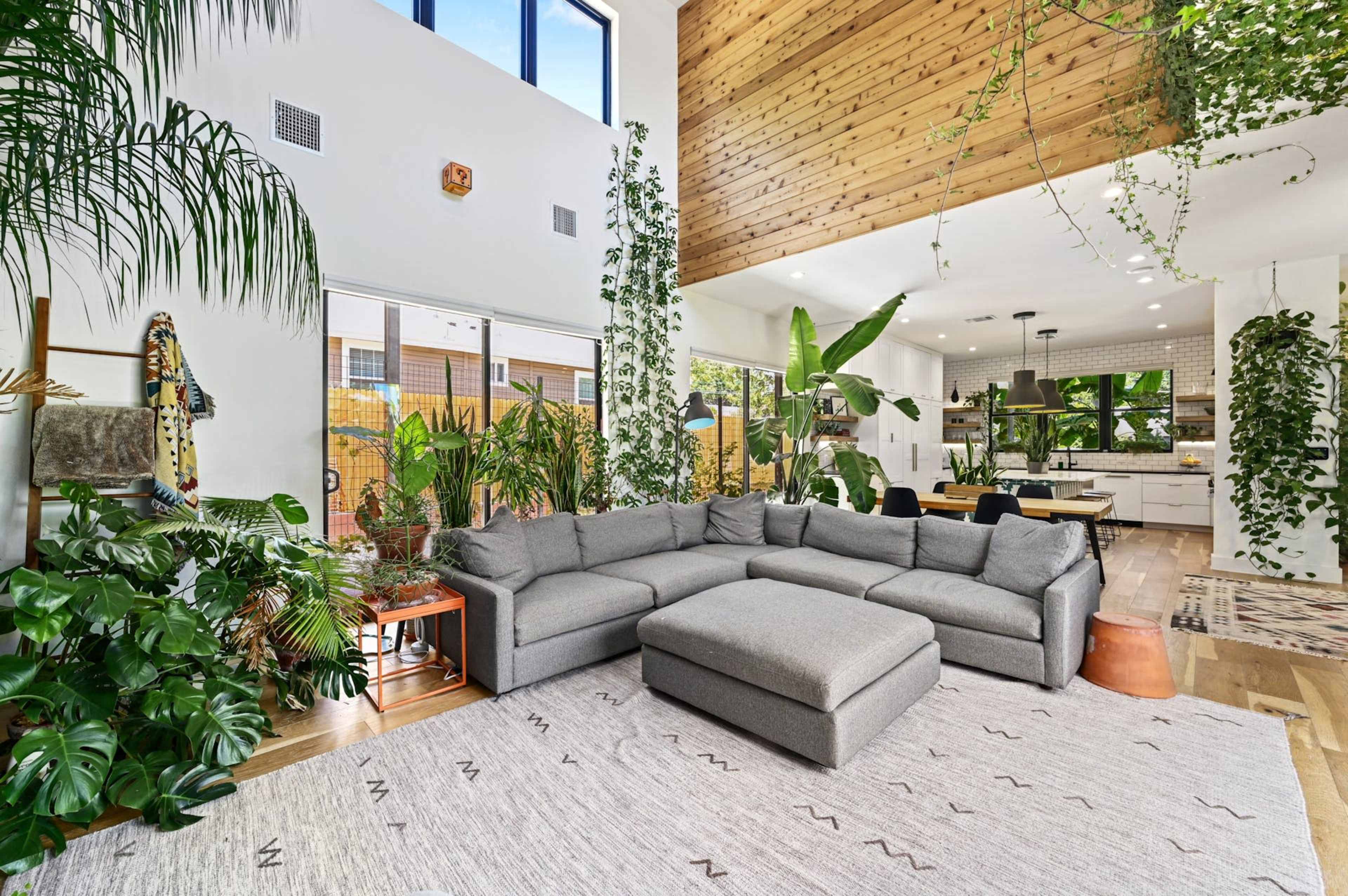 A spacious living room features a gray sectional sofa surrounded by various indoor plants, large windows, and a high wooden ceiling.