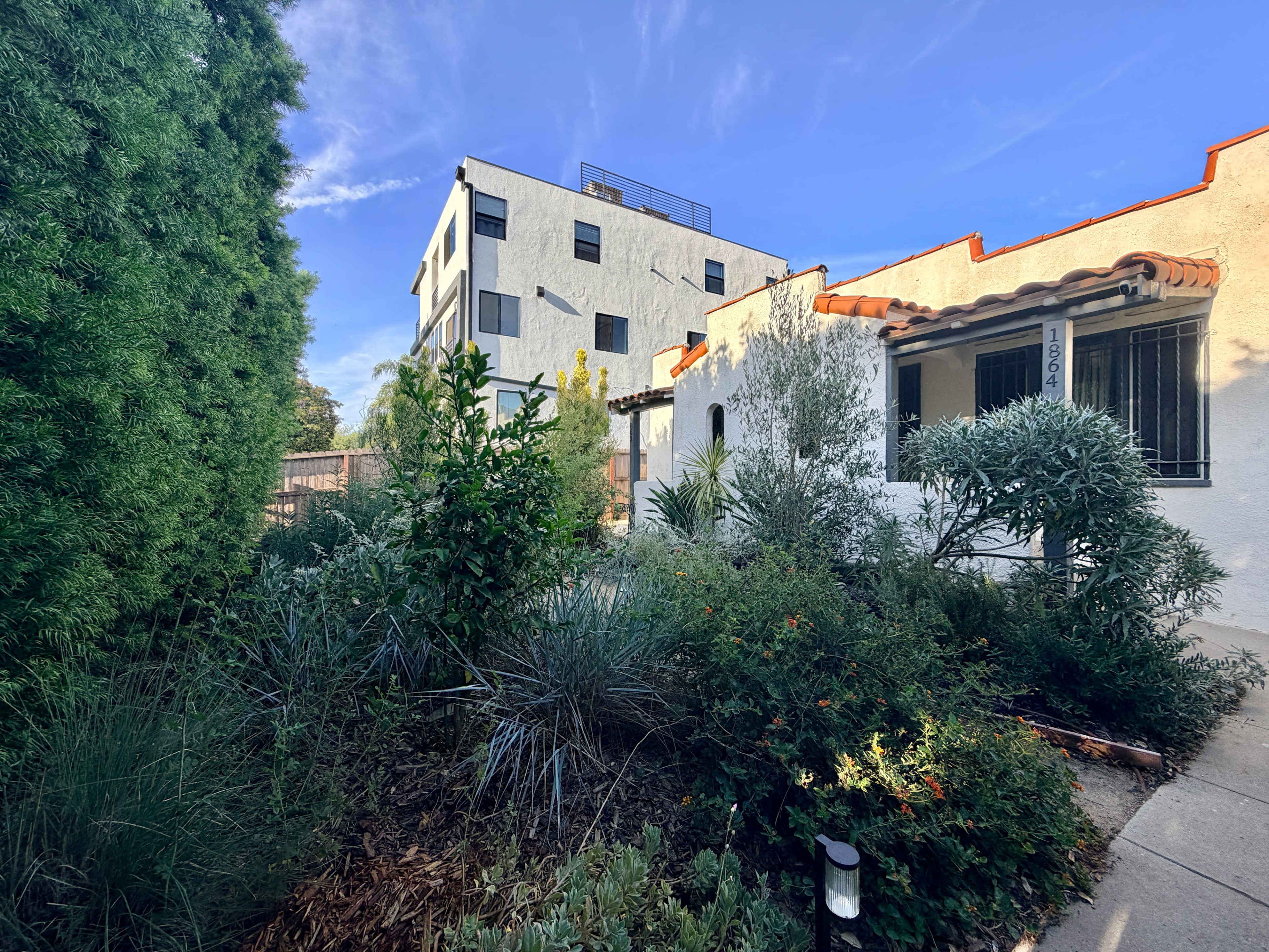 The image shows a pathway leading through a lush, green garden with various plants, flanked by a low white building with a terracotta roof on one side and a modern multi-story building on the other.