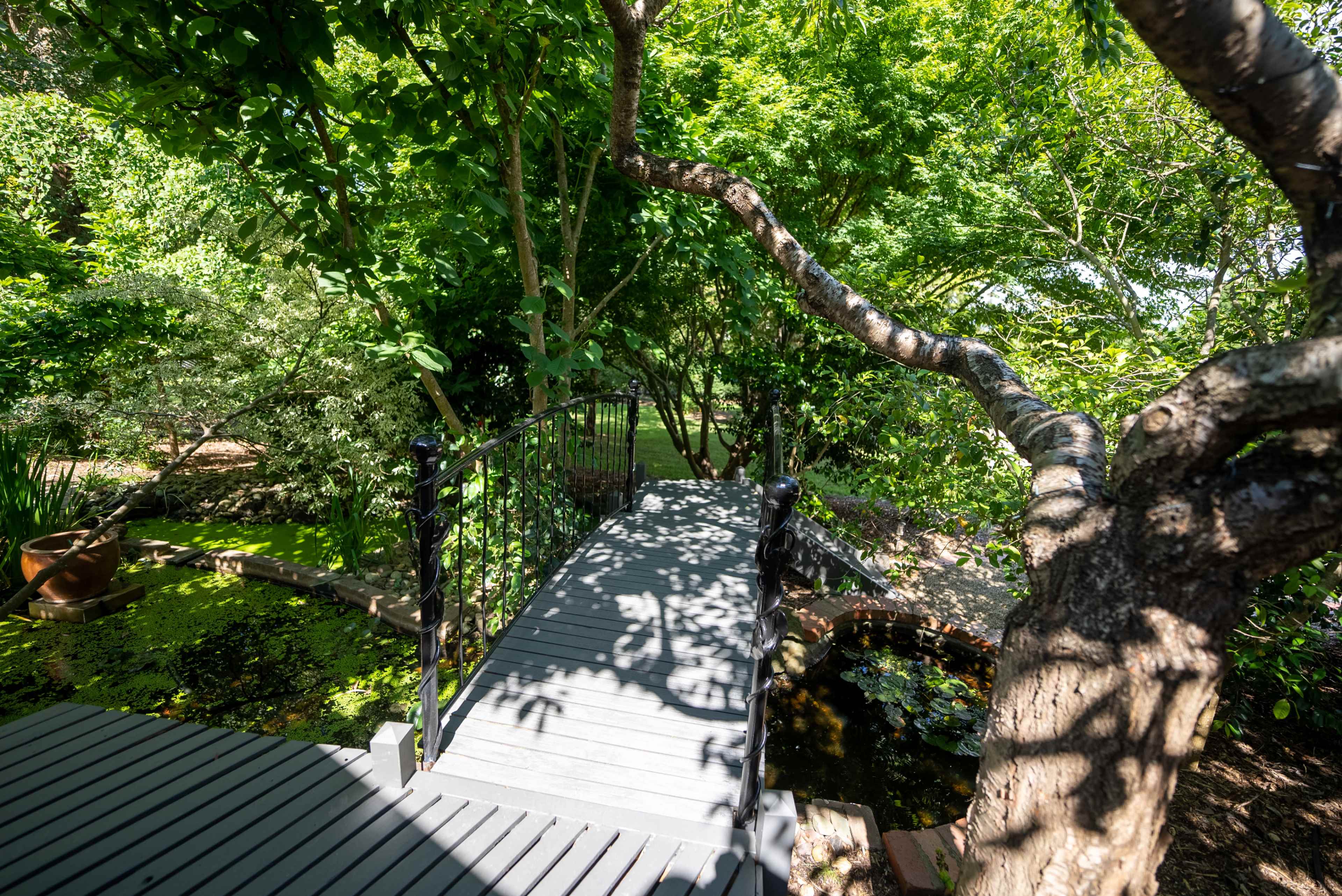A wooden walkway leads over a small pond, surrounded by lush greenery and trees.