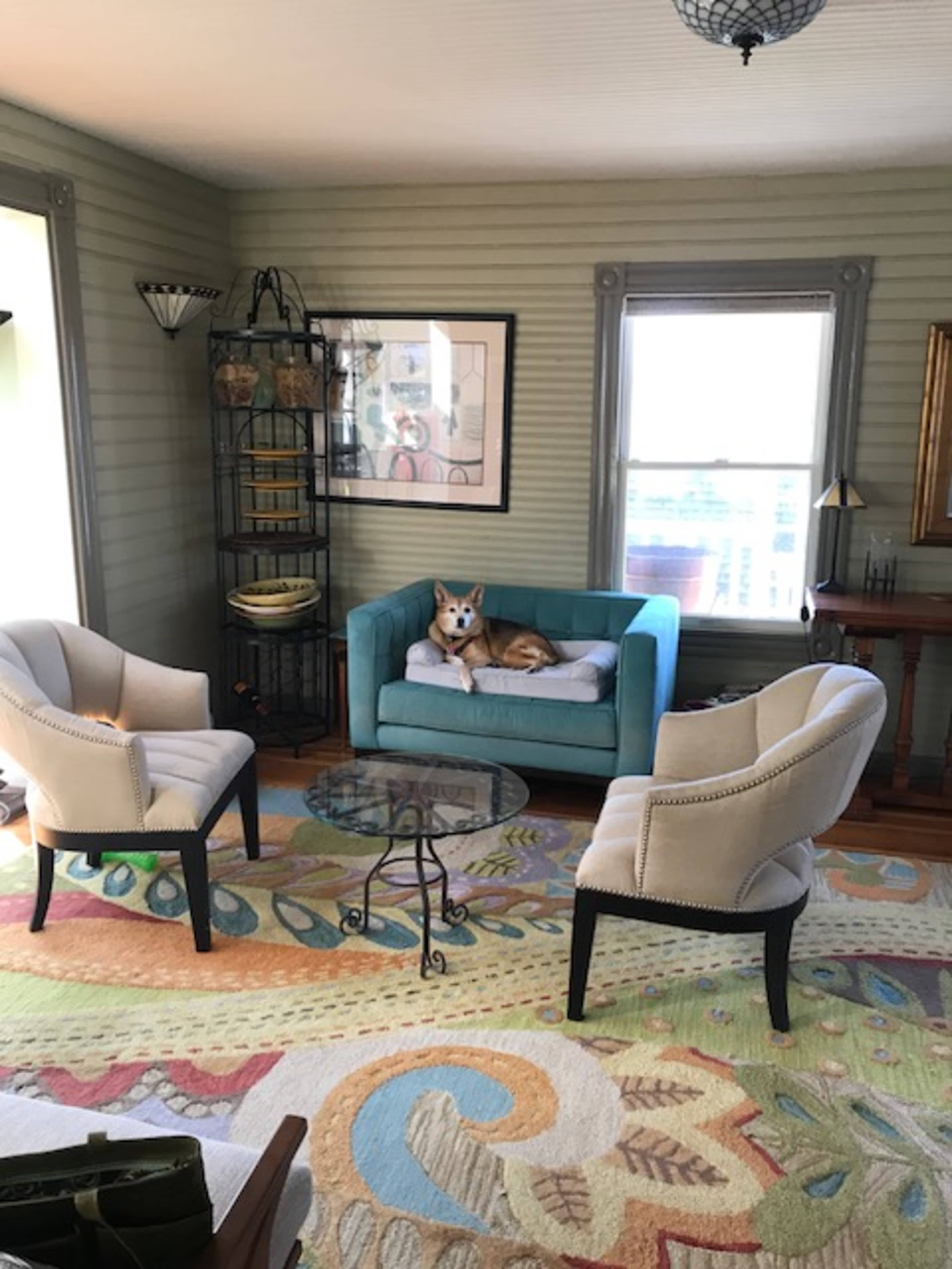 A dog rests on a small couch in a well-decorated living room featuring two chairs, a glass coffee table, and colorful area rug.