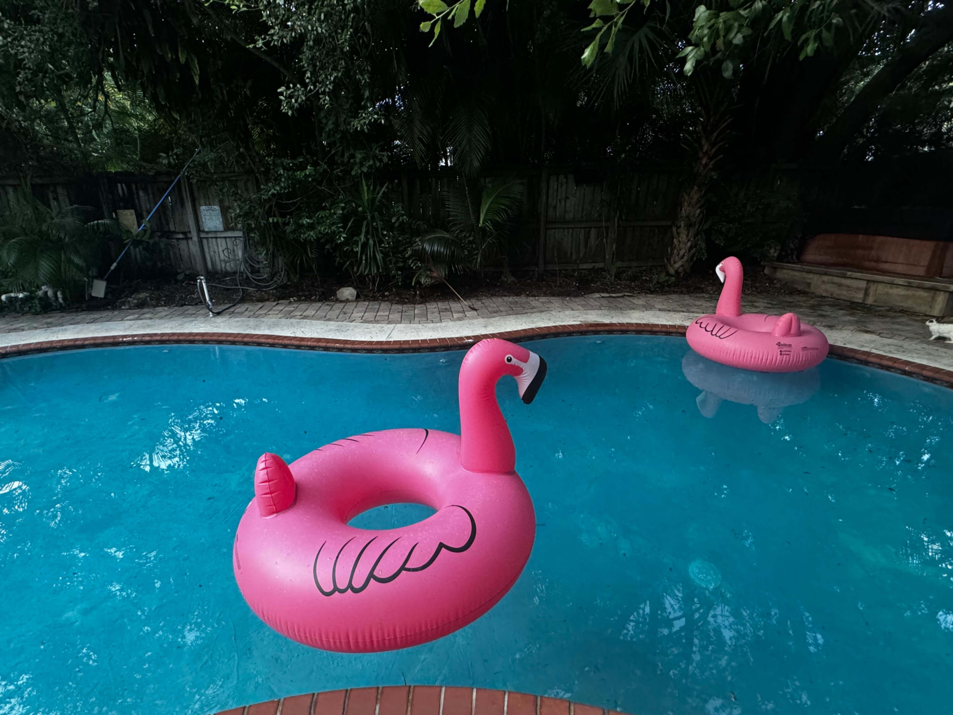 Mermaid Lounge Image in , Miami Shores, FL