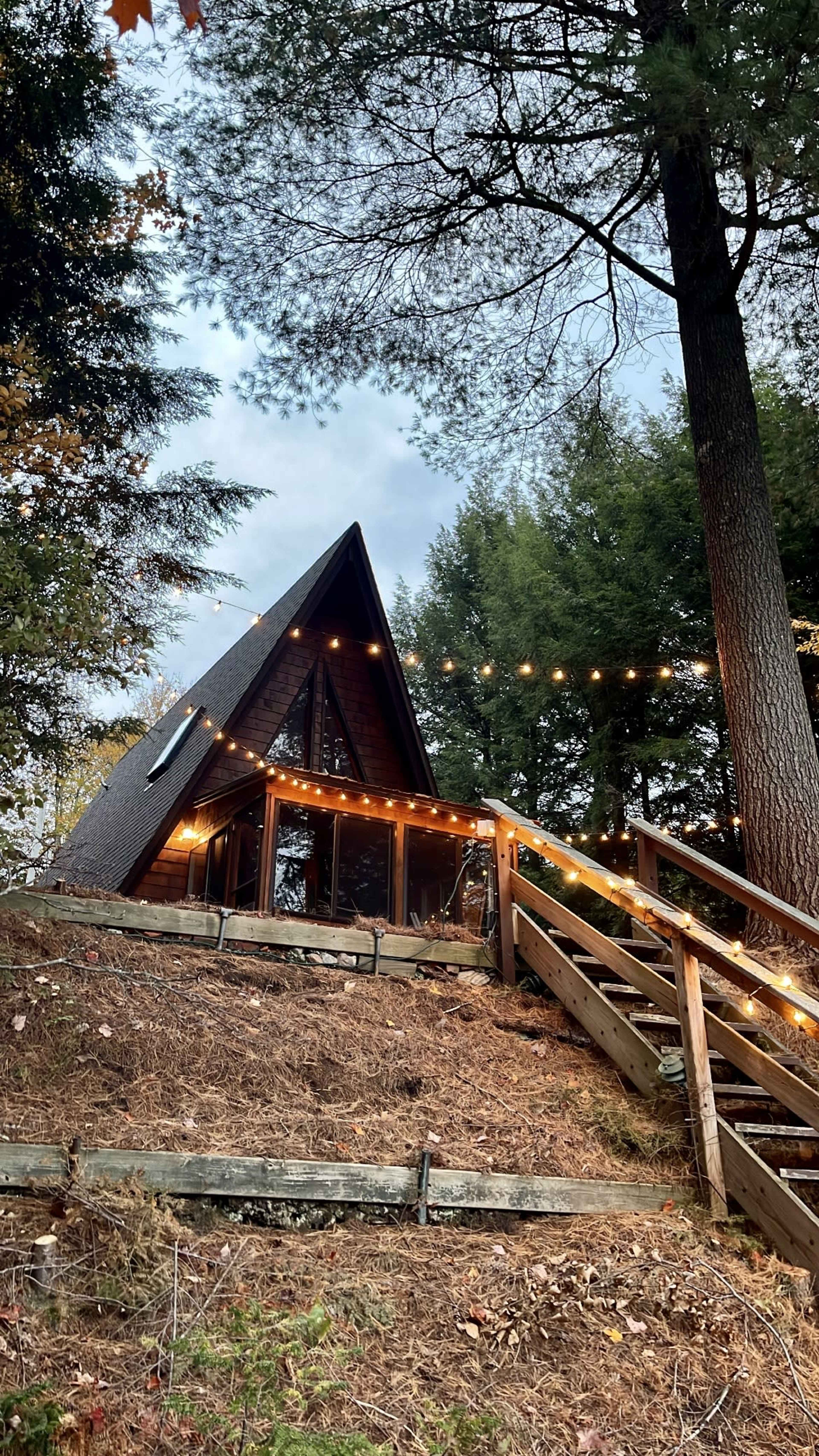 A triangular-roofed cabin is situated on a slope, illuminated by string lights and surrounded by trees.