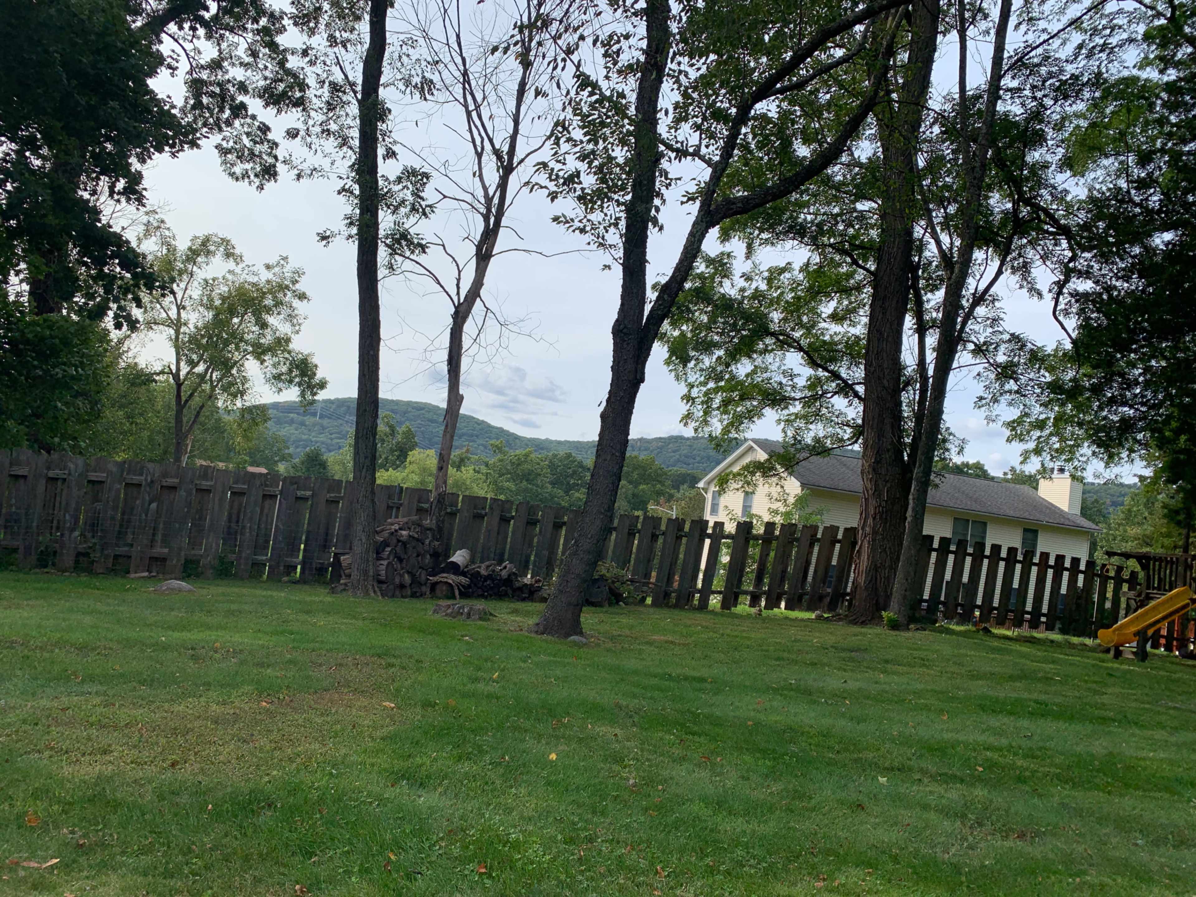 A grassy backyard features a wooden fence, trees, and a distant view of hills and a house.