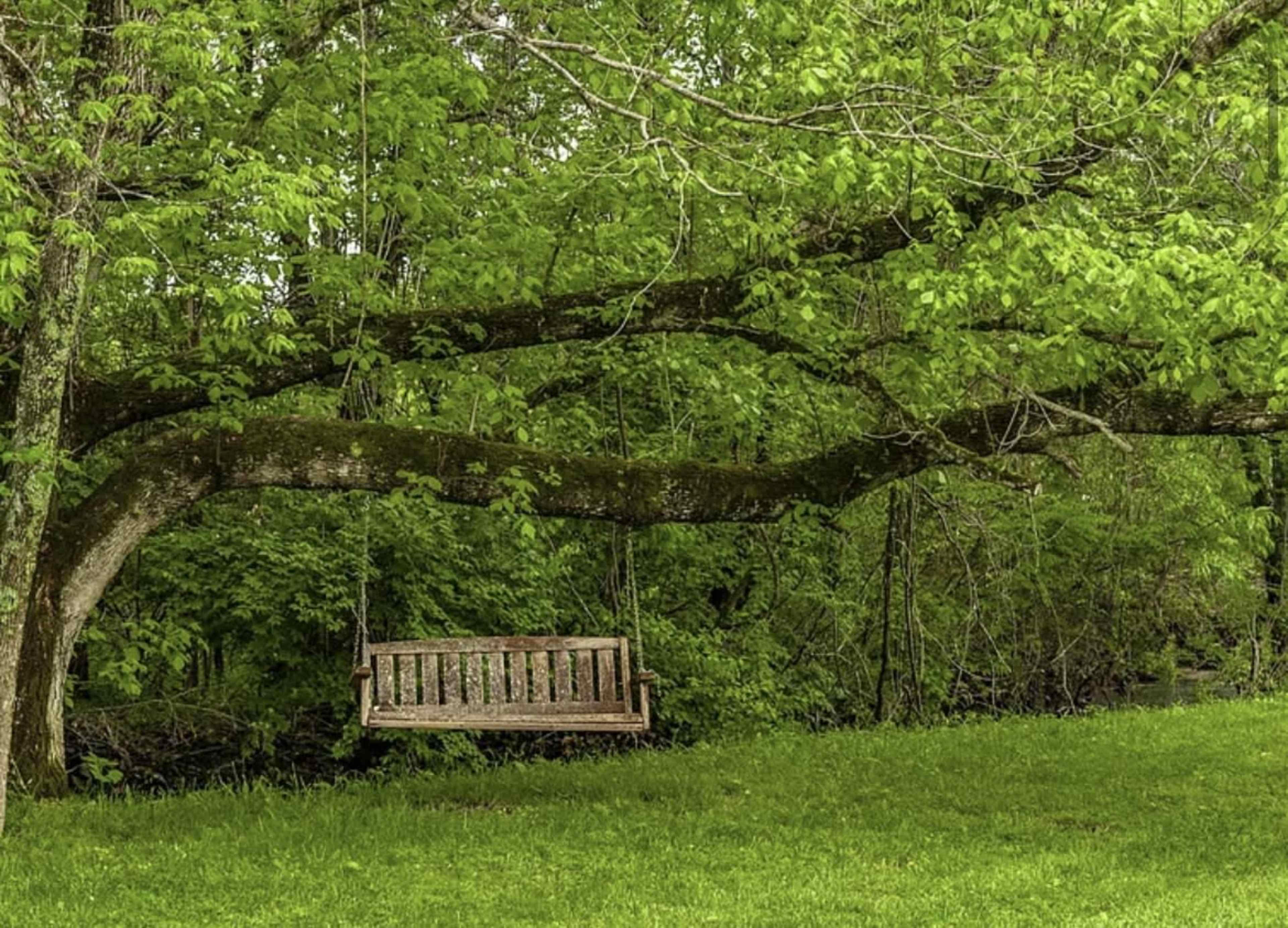 Historic 5 bedroom home on 5 beautiful acres Image in , Mt. Juliet, TN