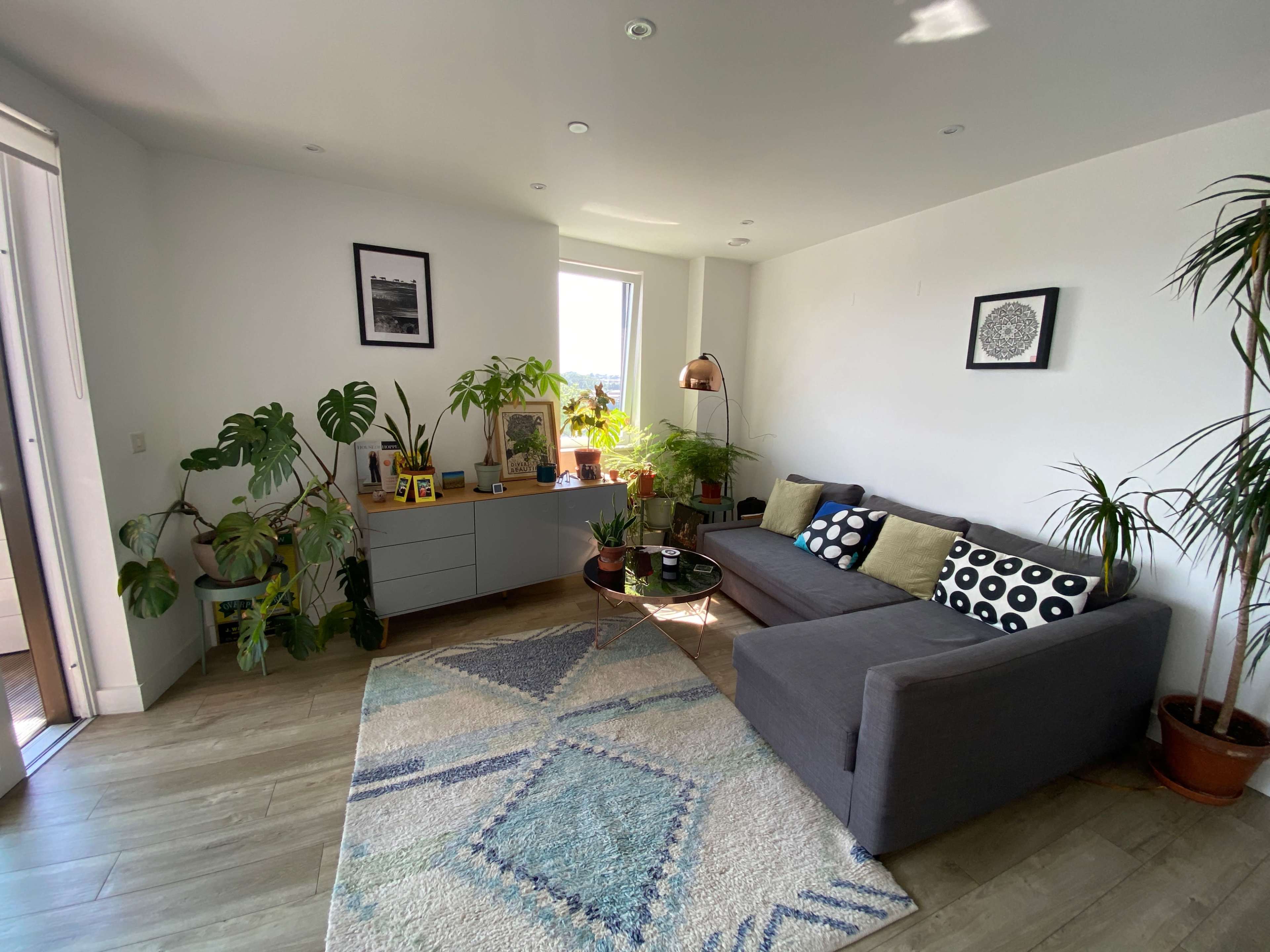 The image shows a modern, well-lit living room with a gray sectional sofa, decorative plants, and a coffee table, all arranged on a patterned area rug.
