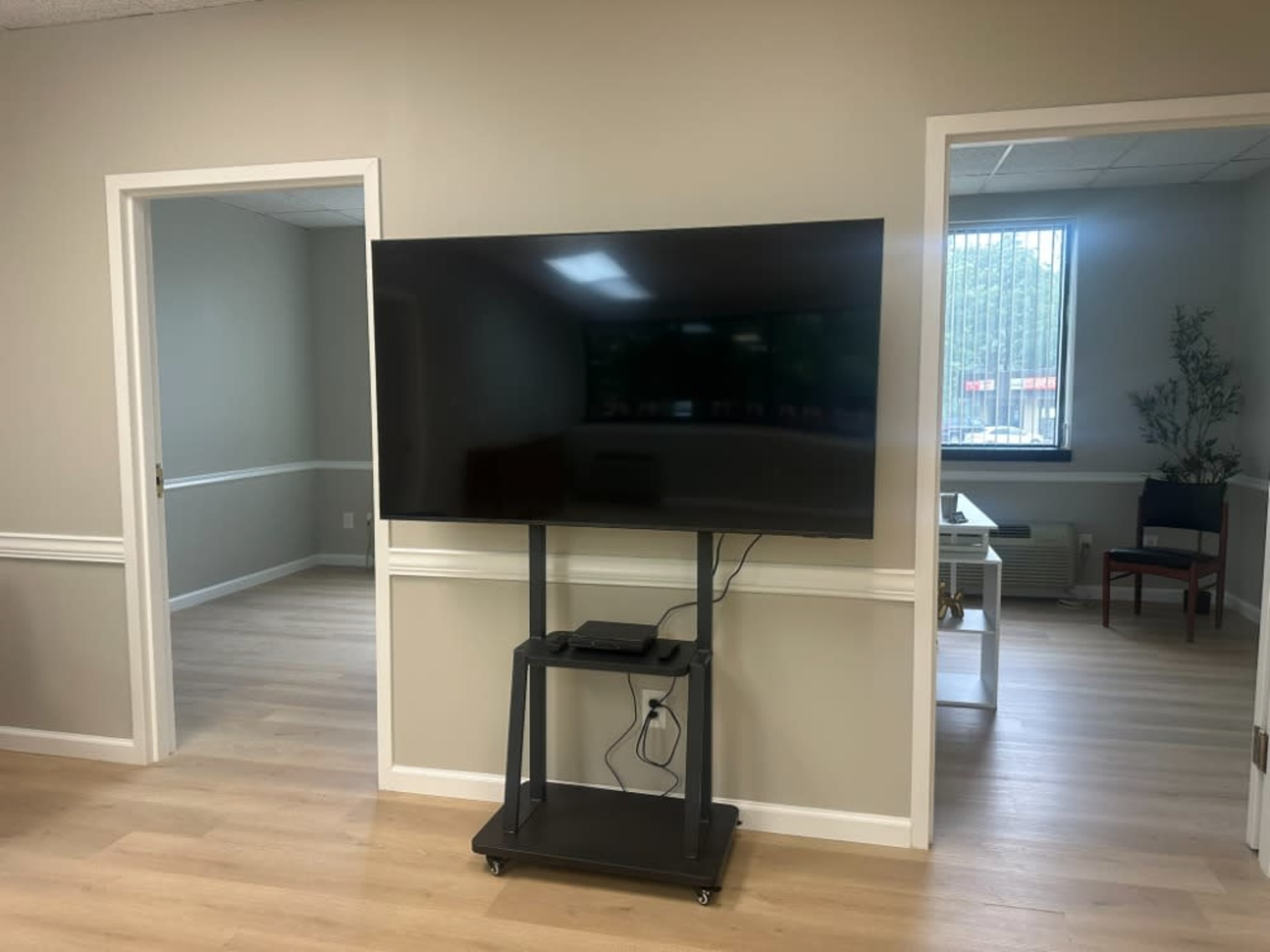 65-inch TV