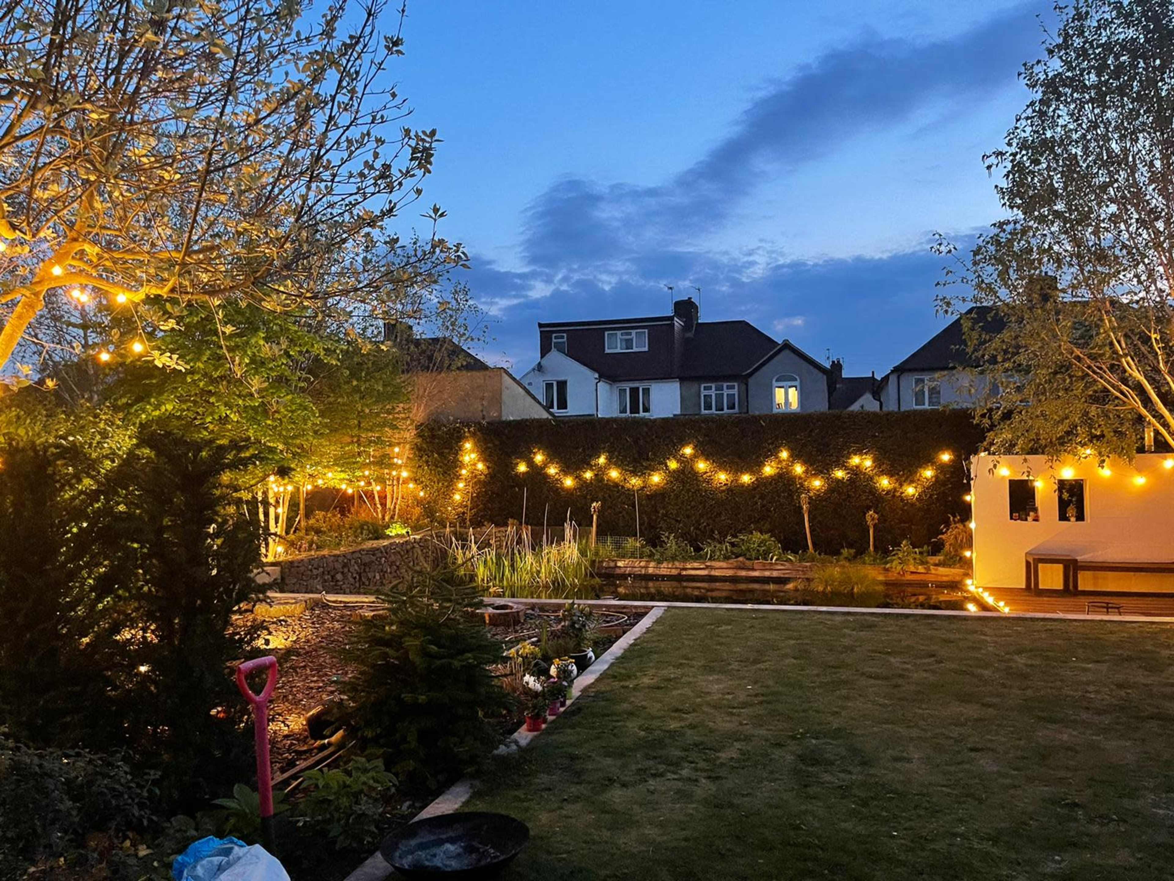 A garden at dusk, with string lights illuminating the space and various plants around a pond.
