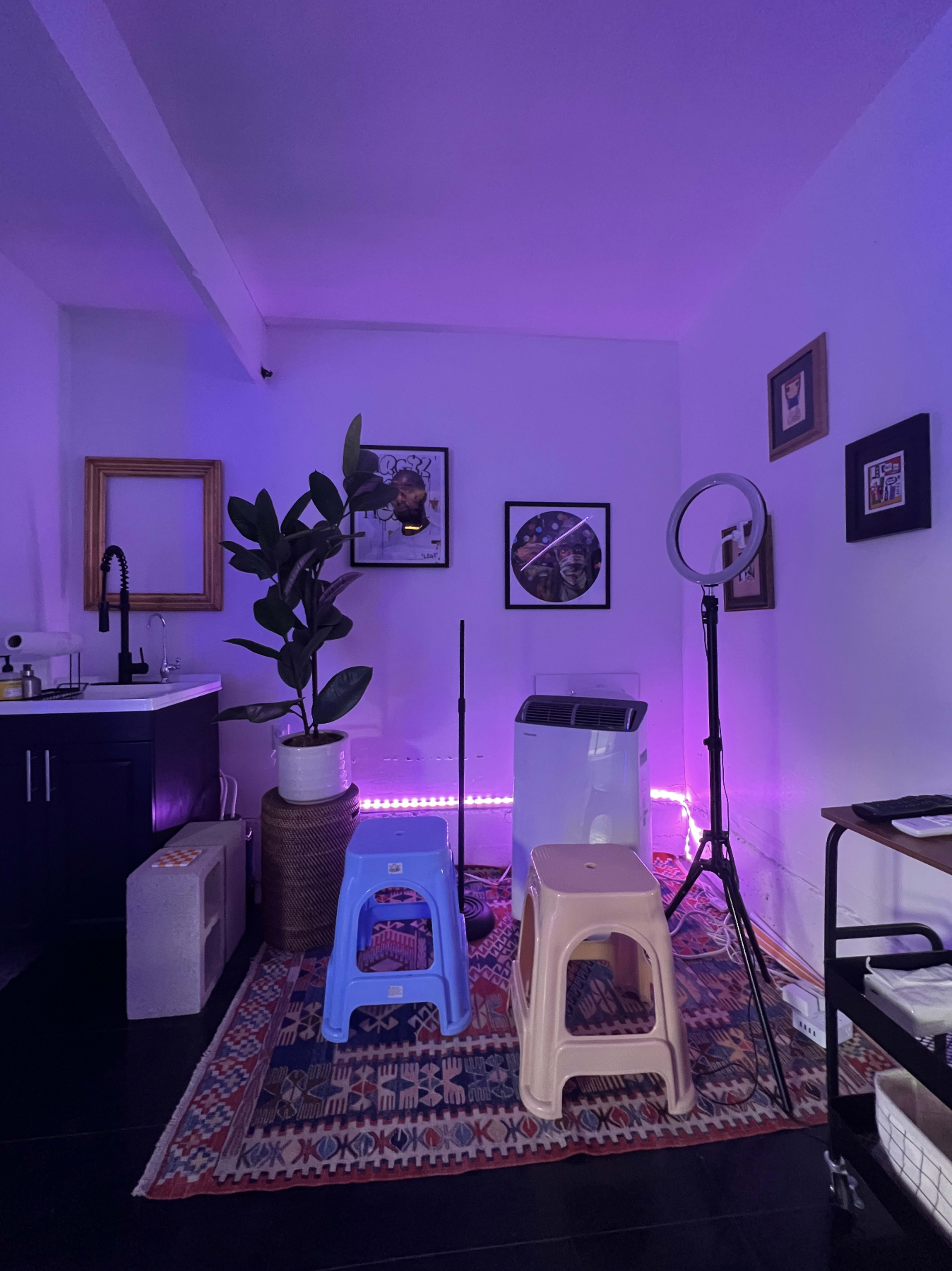 A room features a kitchenette, a large potted plant, a ring light, and several stools, all illuminated by purple LED lights.