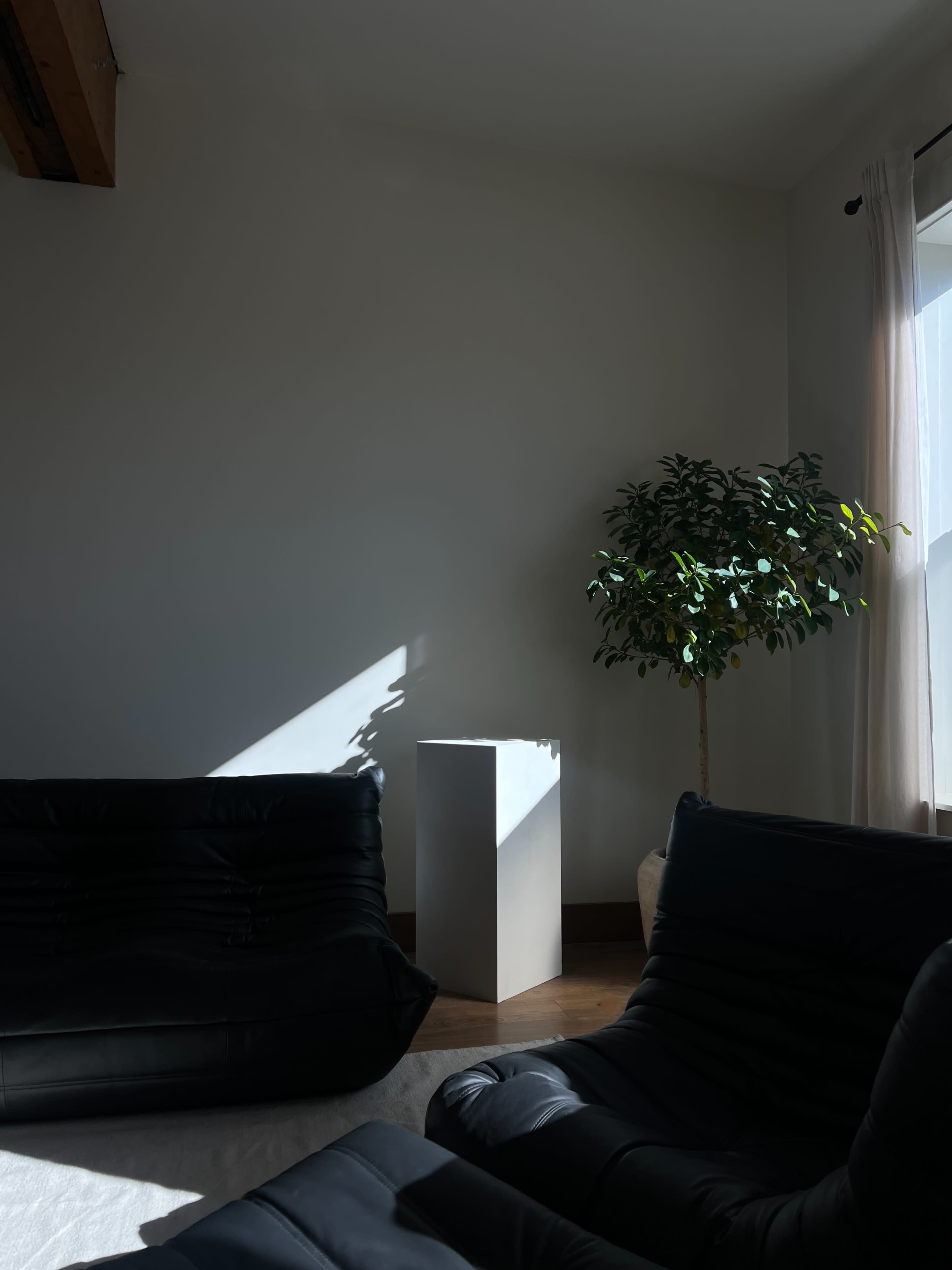 Stylish Photography and Content Creation Studio in DT Kelowna Image in Downtown, Kelowna, BC