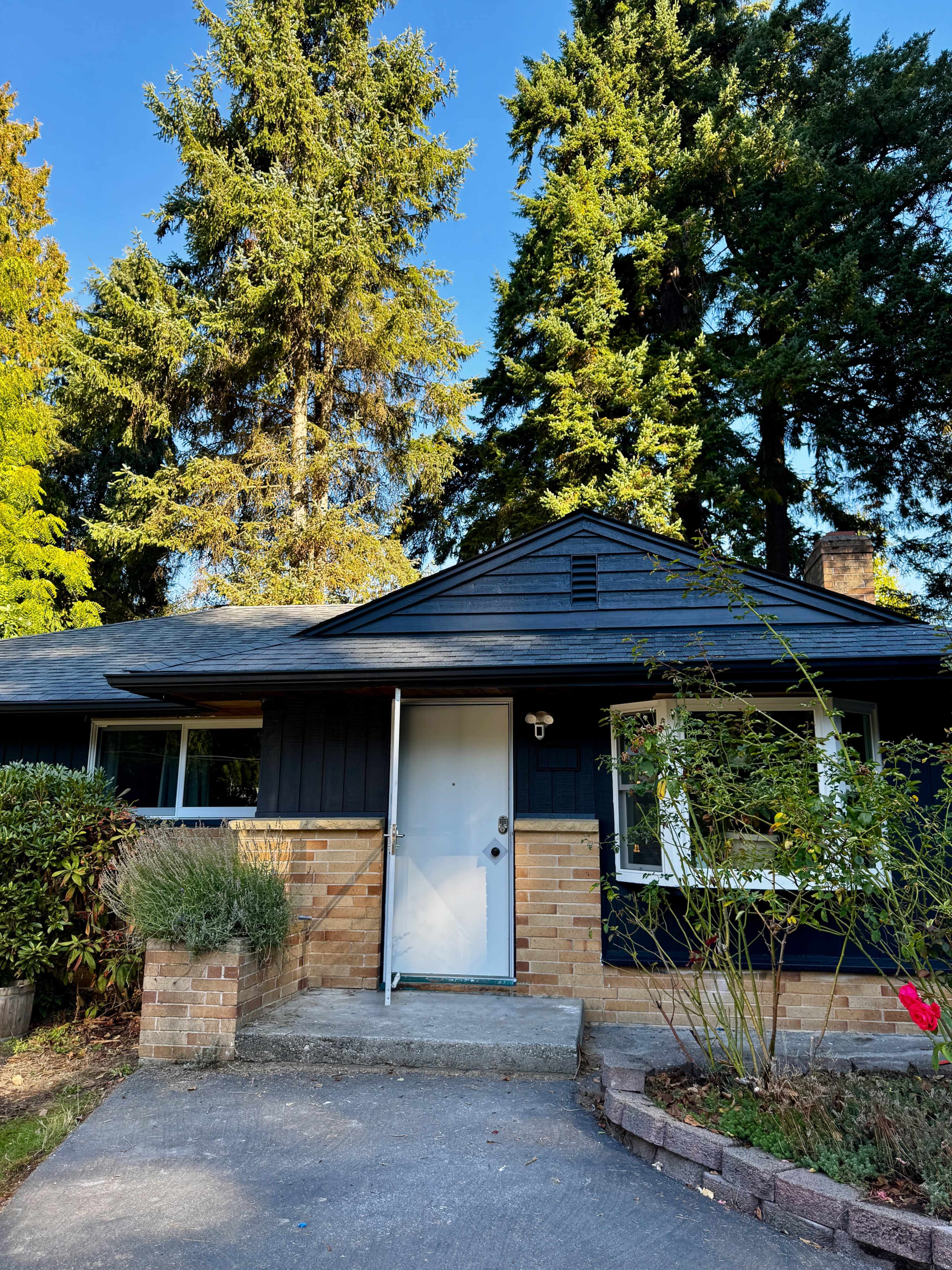 Skylit House in the Trees / Private Backyard Image in Lynnwood, Lynnwood, WA