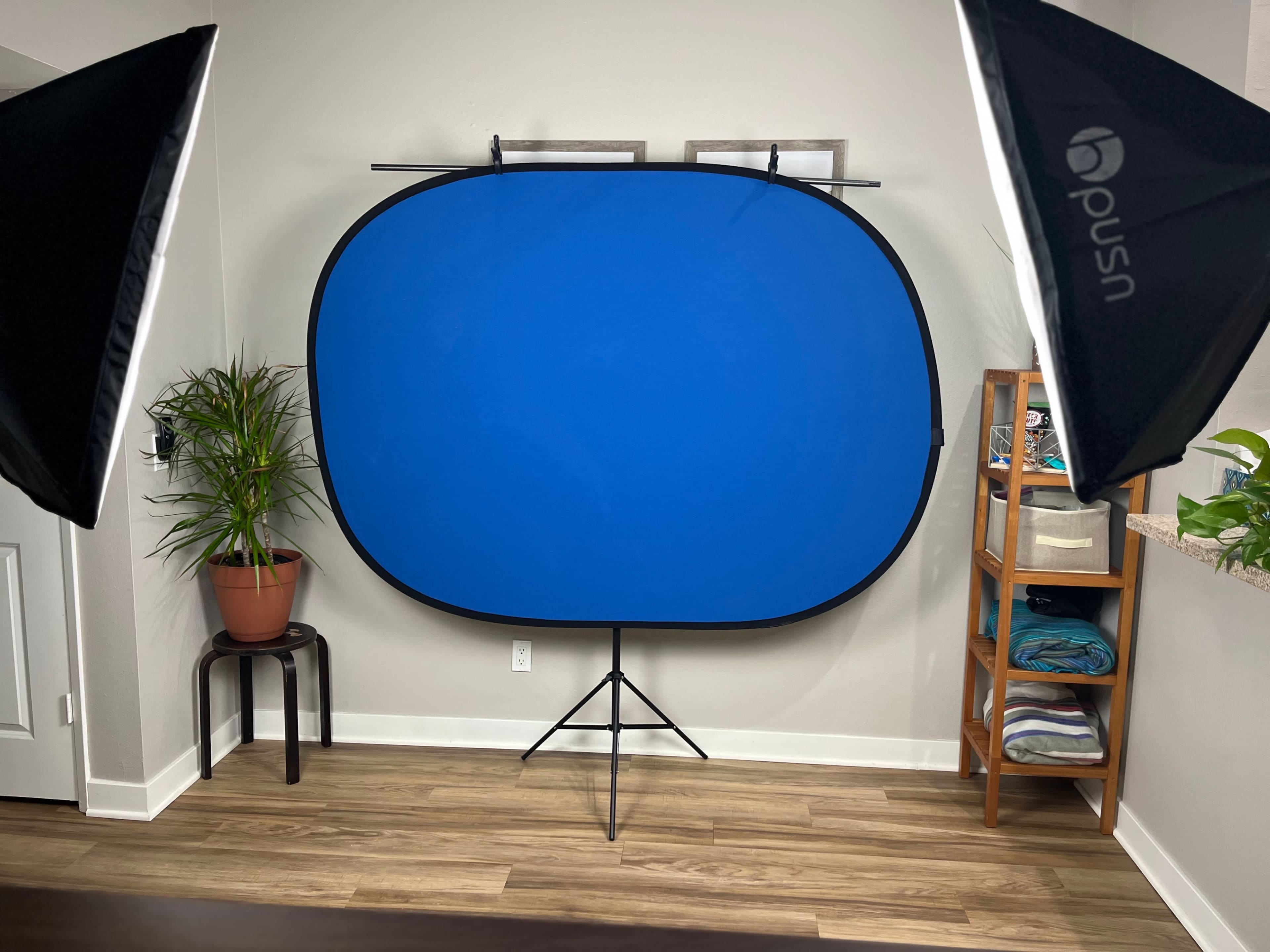 The image shows a blue backdrop set up in a room with two softbox lights, a potted plant, and a shelf filled with folded towels.