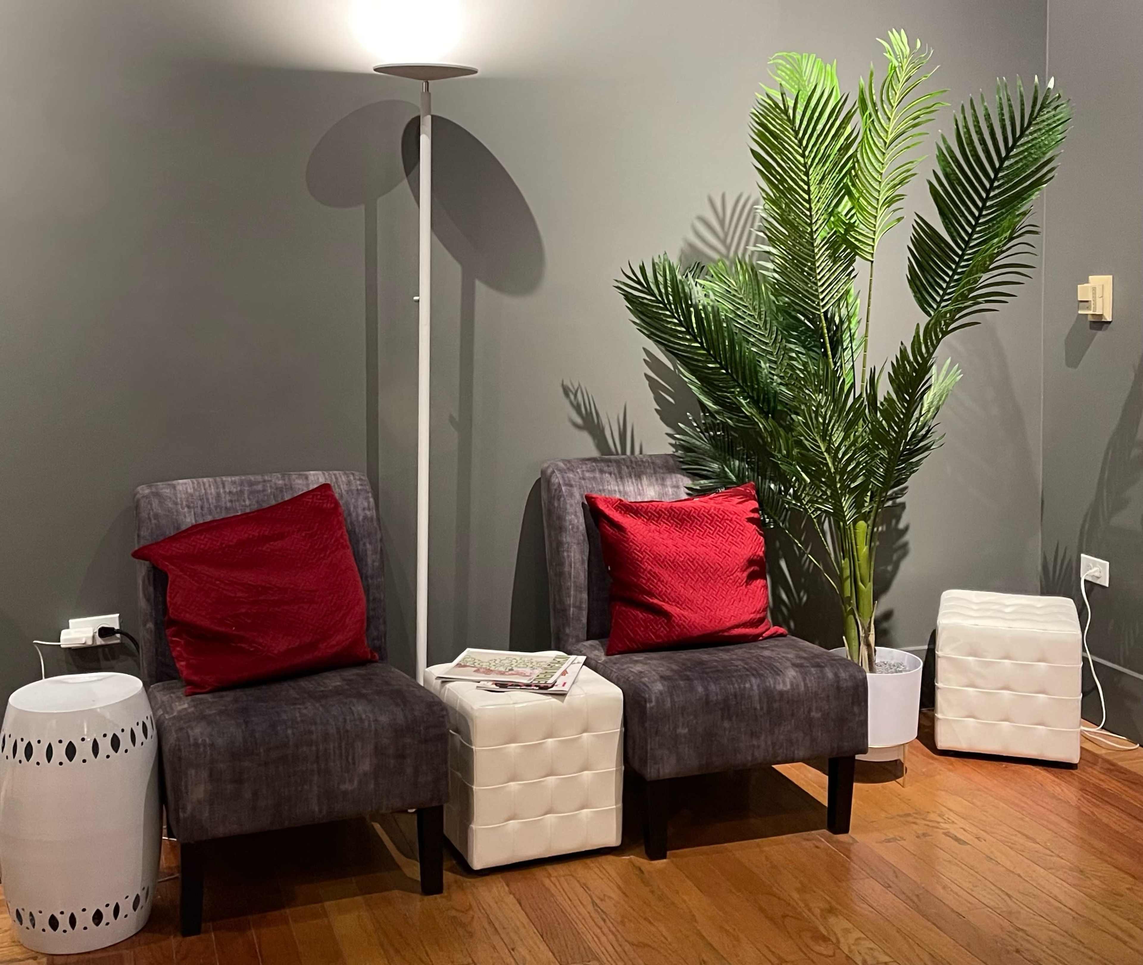 Two gray chairs with red pillows beside a small white table, a plant, and a standing lamp against a dark wall.