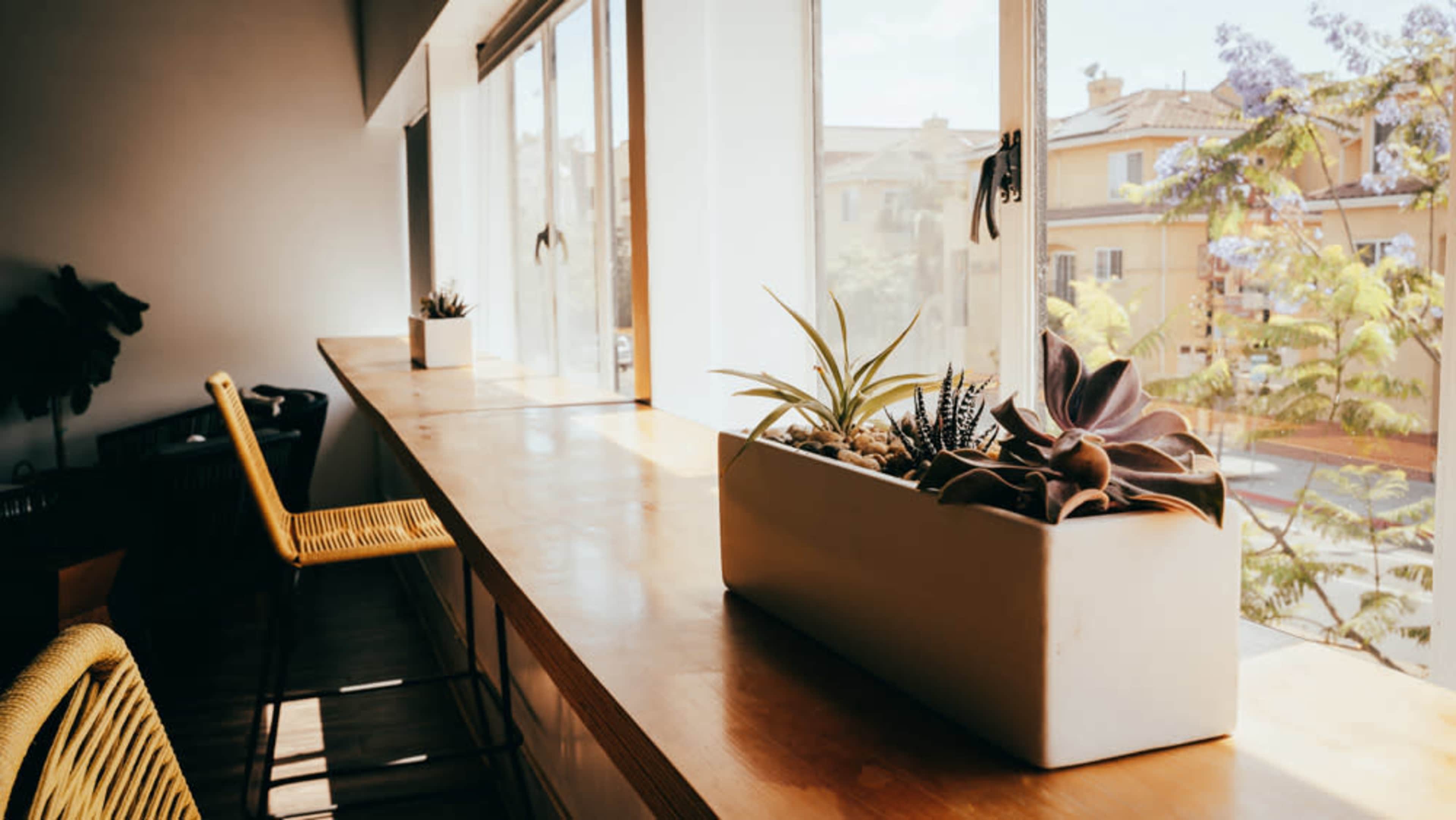 The image shows a spacious window ledge with a wooden countertop and potted plants arranged in a long container.