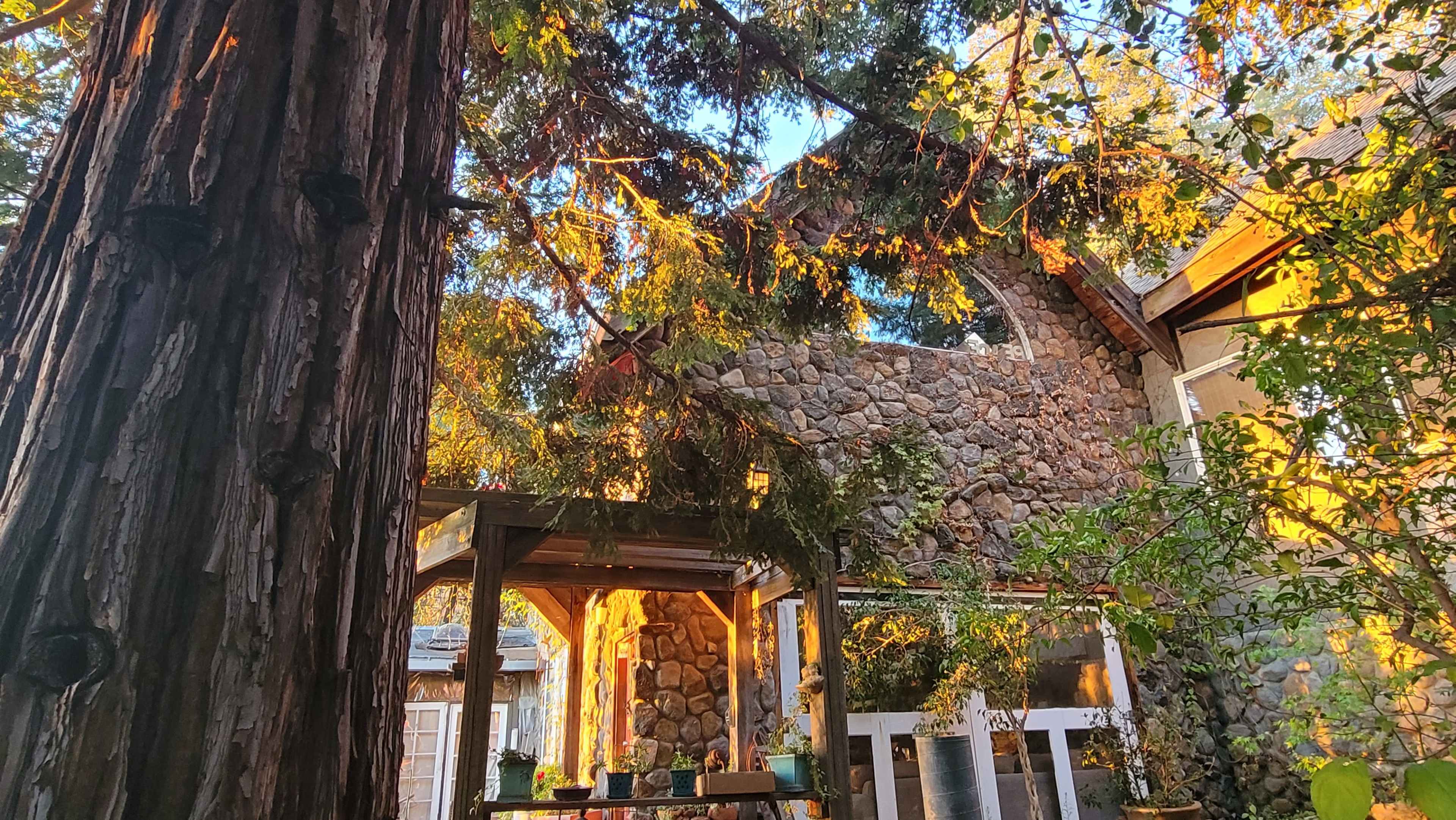 A sunlit stone house surrounded by trees and plants, with a wooden pergola in the foreground.