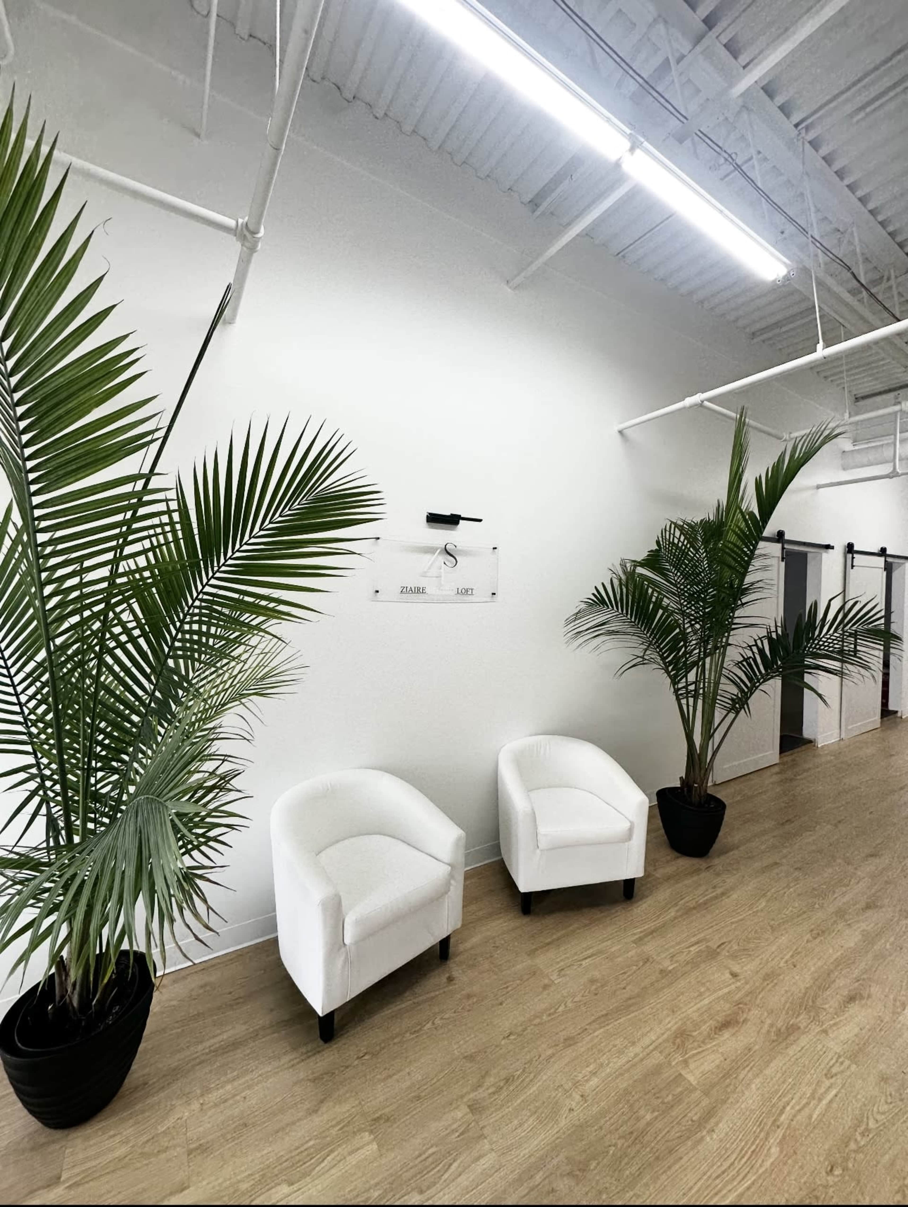 Modern loft Image in Bloomingdale Township, Carol Stream, IL