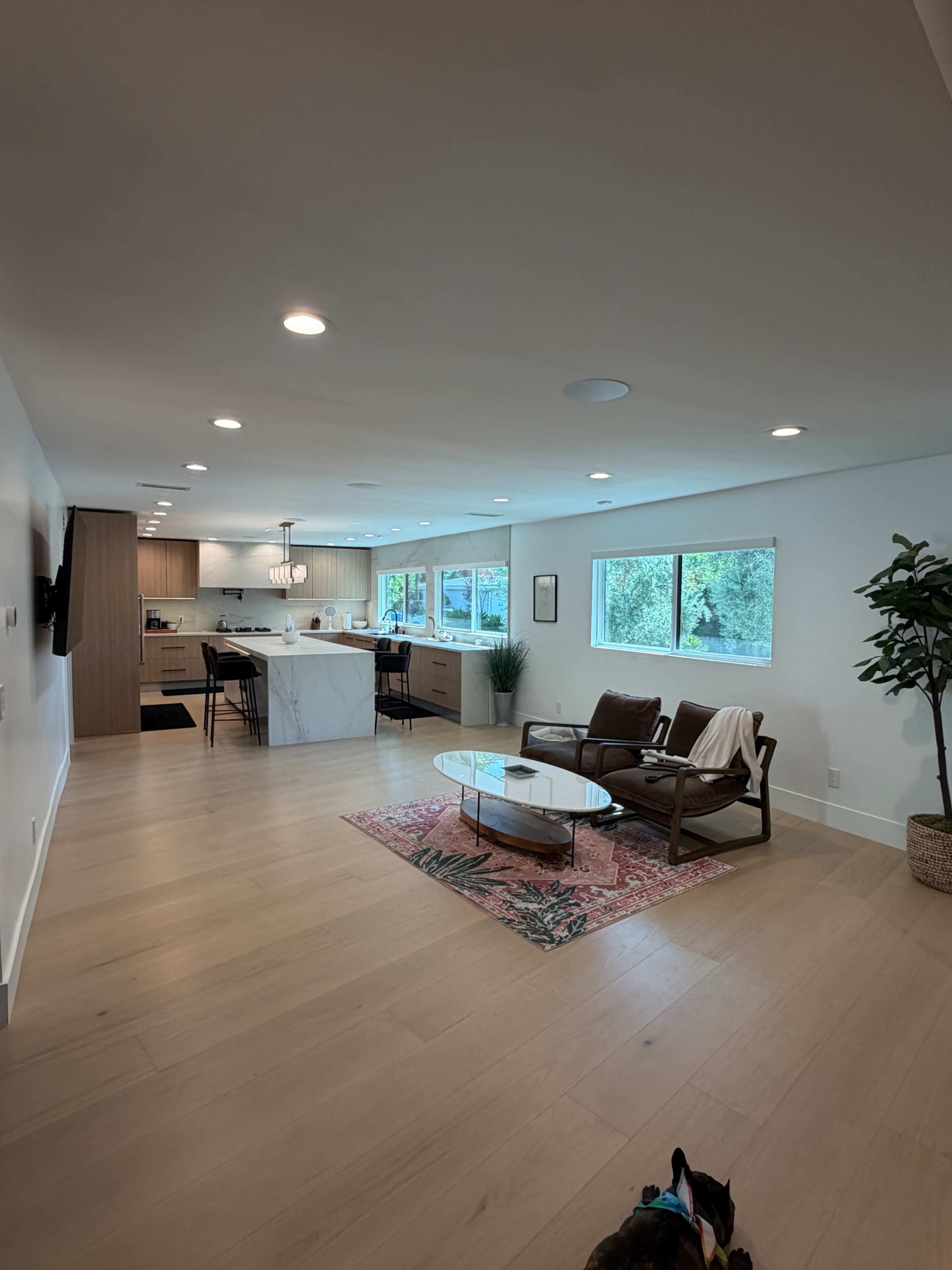 A modern living area features a pair of brown chairs and a round coffee table on a decorative rug, with large windows allowing natural light and a view of greenery outside.