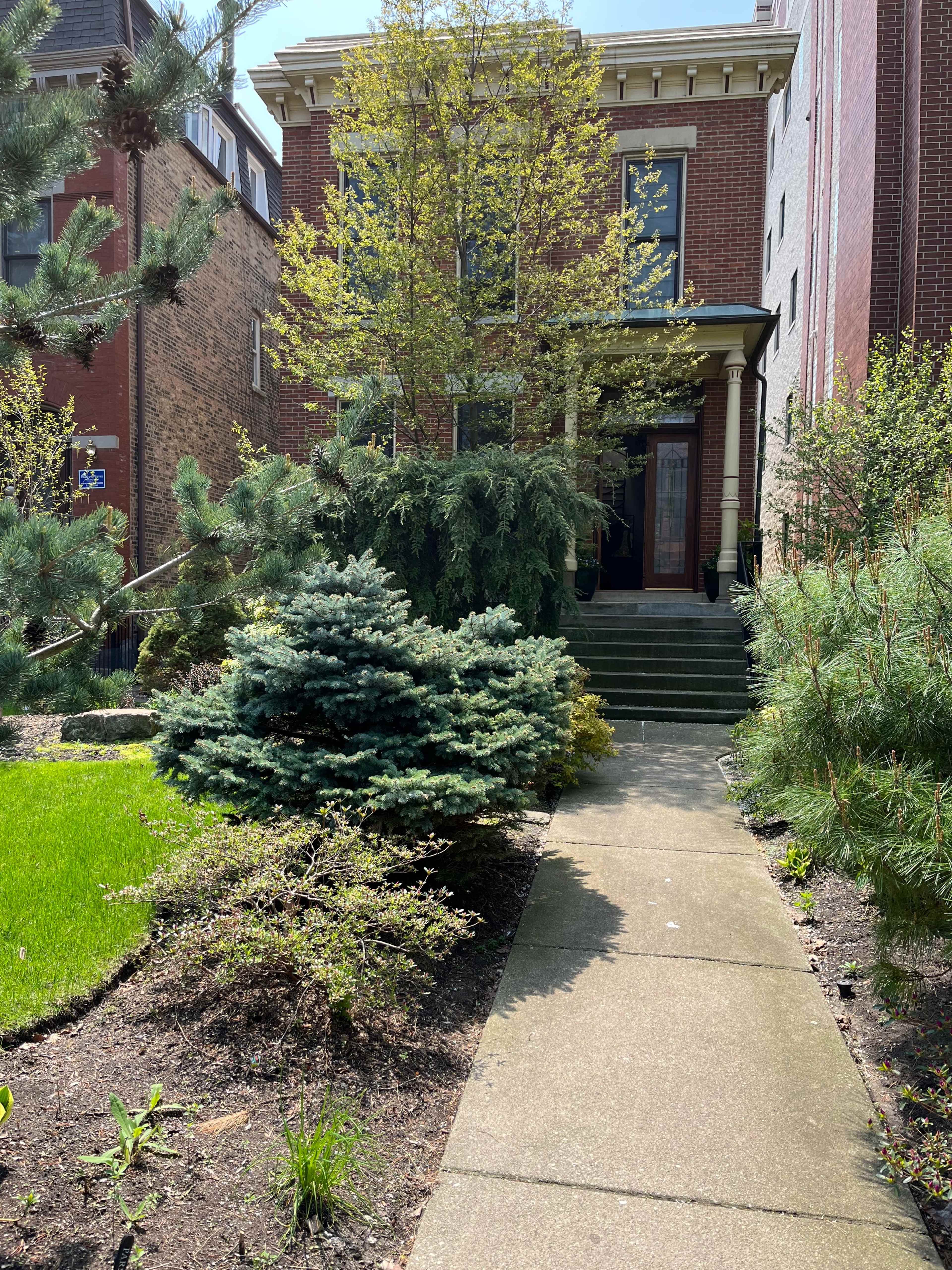A brick house with a staircase leading to the entrance, surrounded by green shrubs and trees in the front yard.