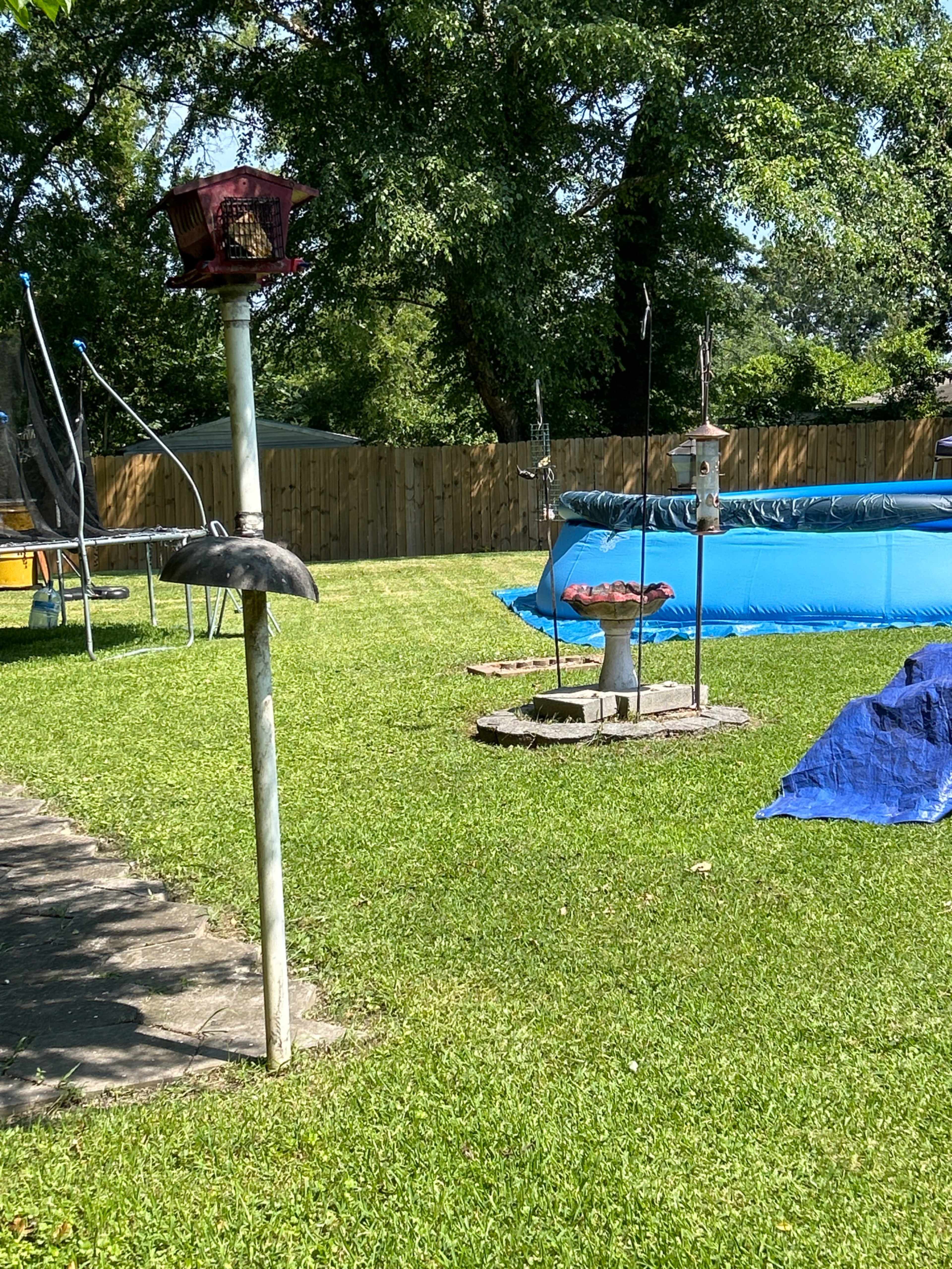 A backyard with a bird feeder on a post, a swimming pool, and a blue tarp on the grass.