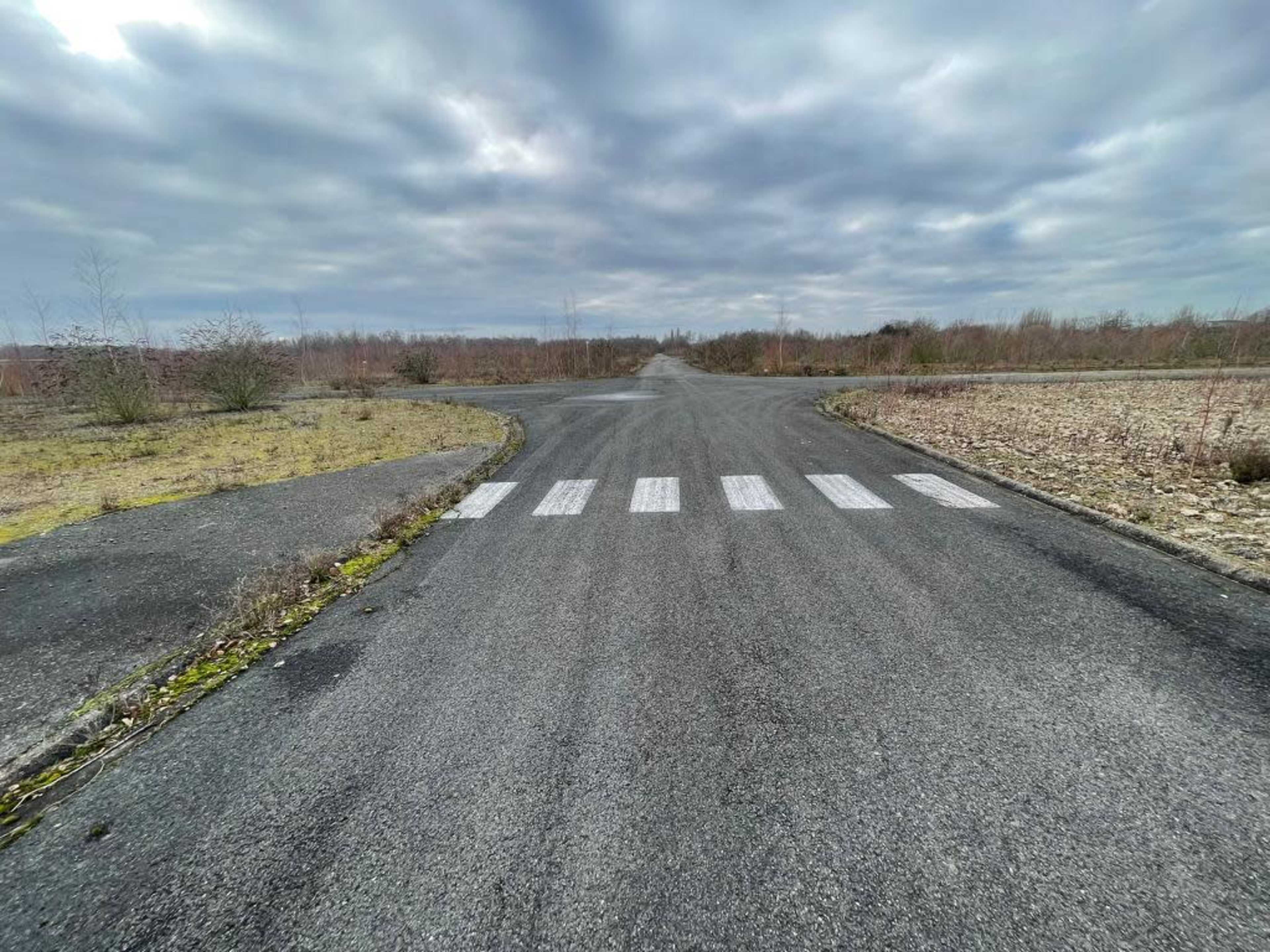 A deserted asphalt road with a faded crosswalk leads into a cloudy landscape surrounded by overgrown grass and sparse trees.
