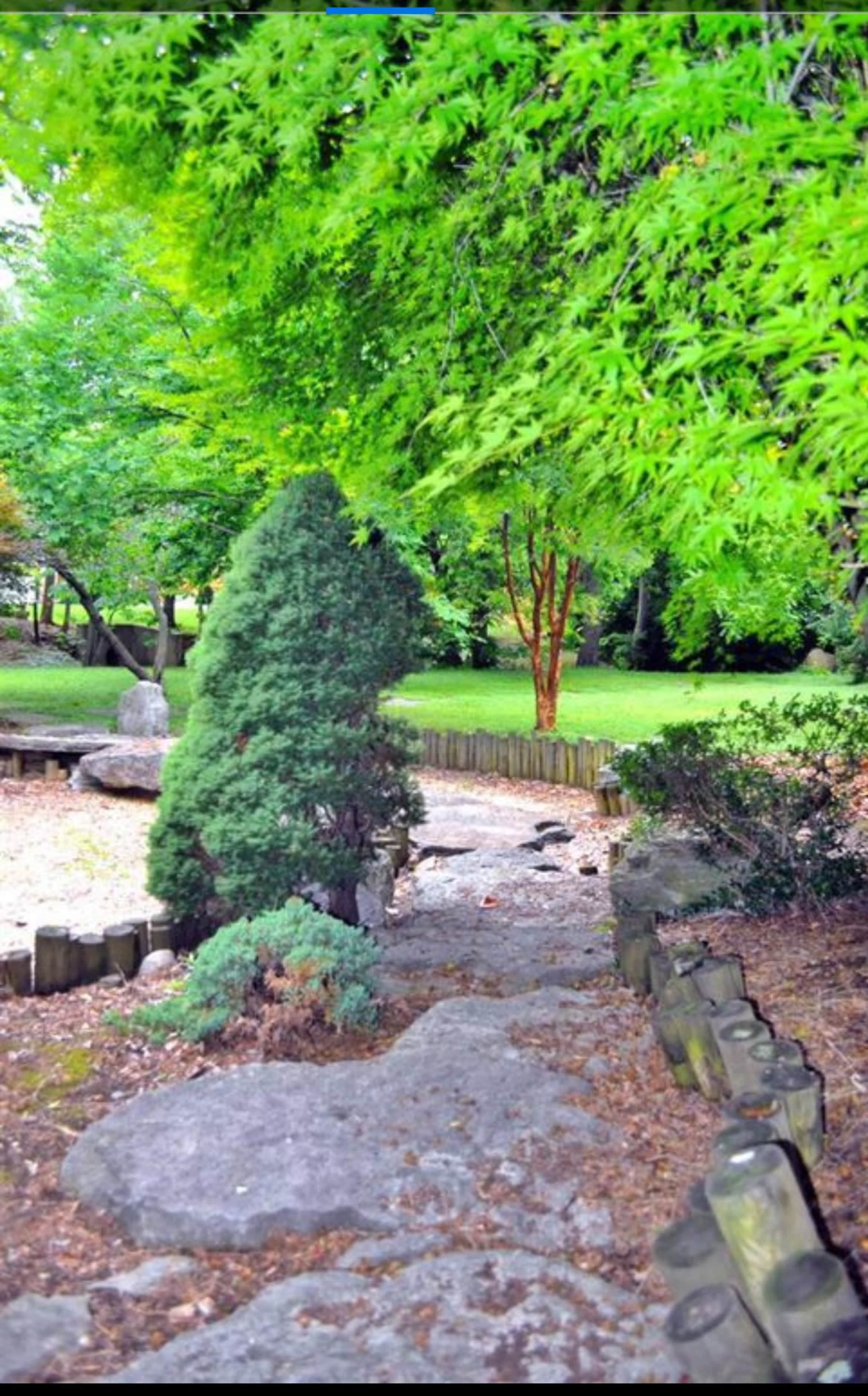 A winding stone path leads through a lush garden with various trees and shrubs.