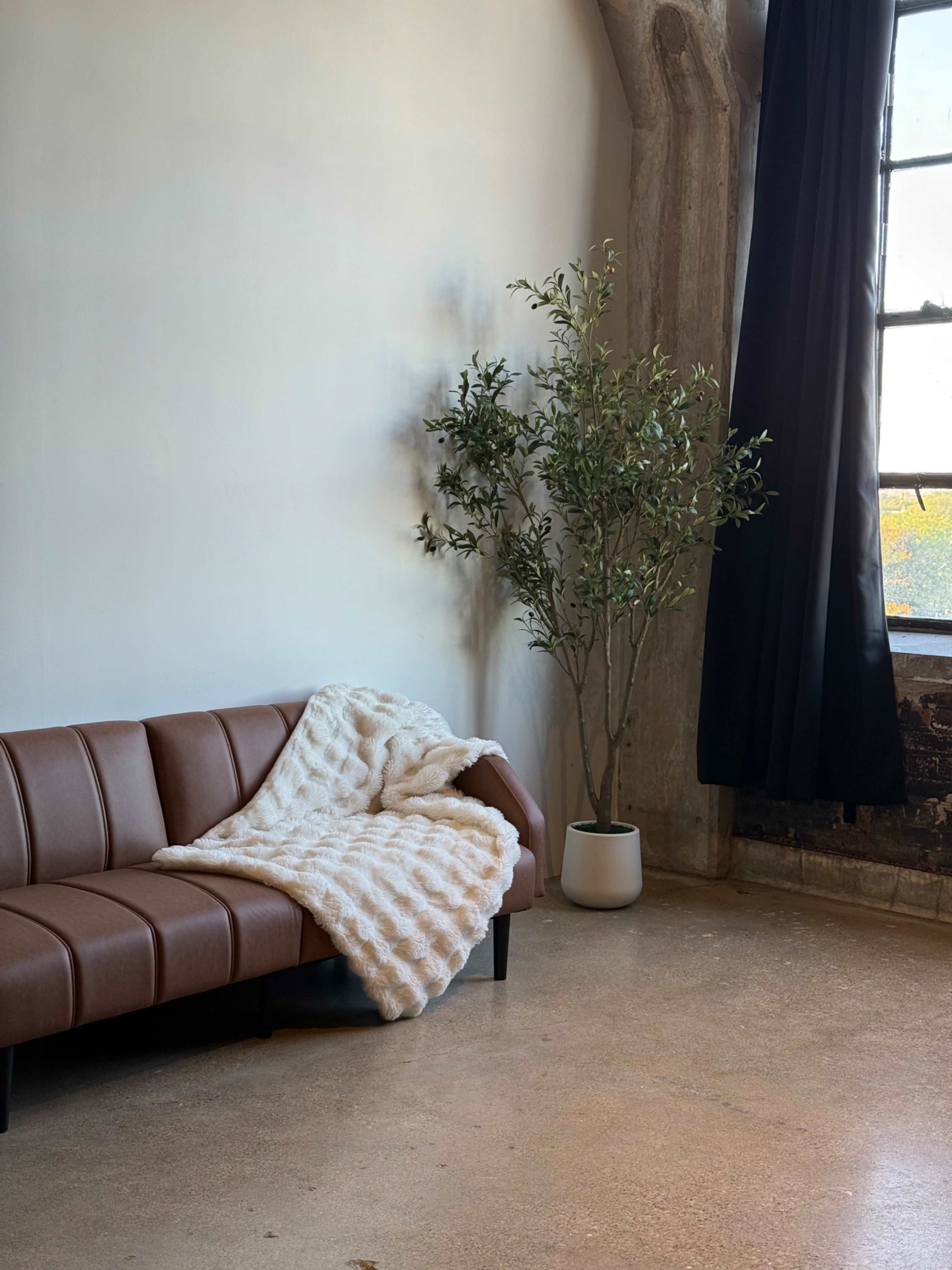 A brown leather couch is positioned against a white wall, accompanied by a plant in a pot and a black curtain hanging near a window.