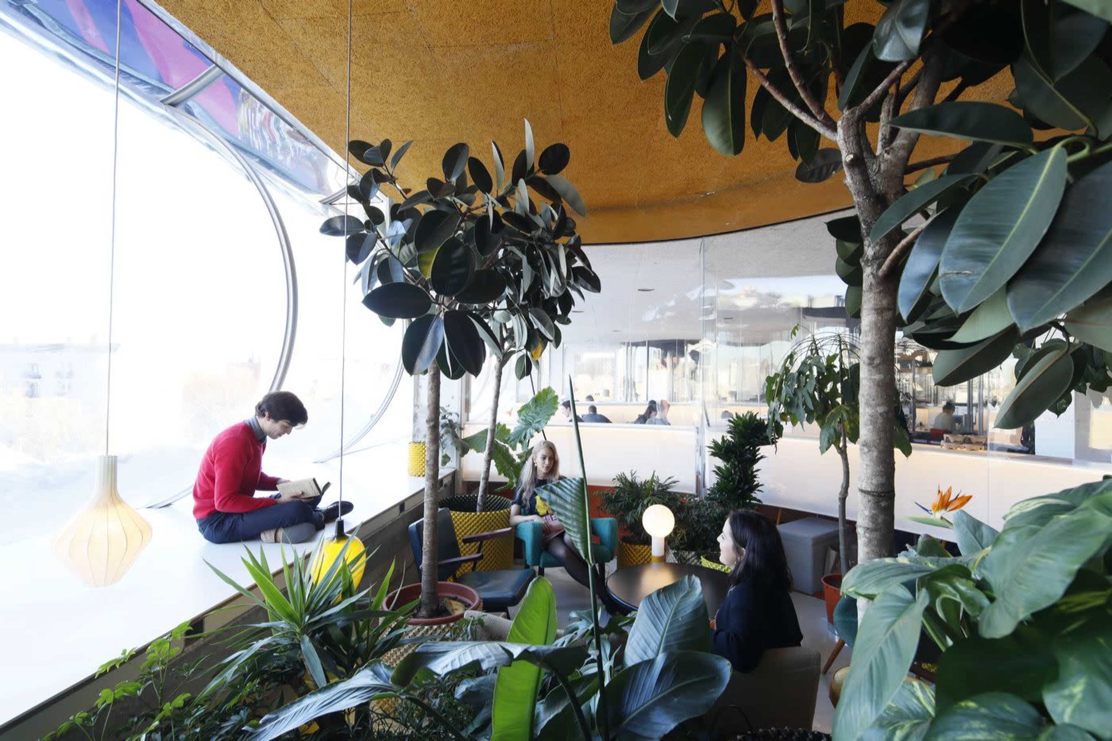 A modern indoor space features various plants, seating arrangements, and individuals engaged in different activities, including a person sitting on a ledge with a device.