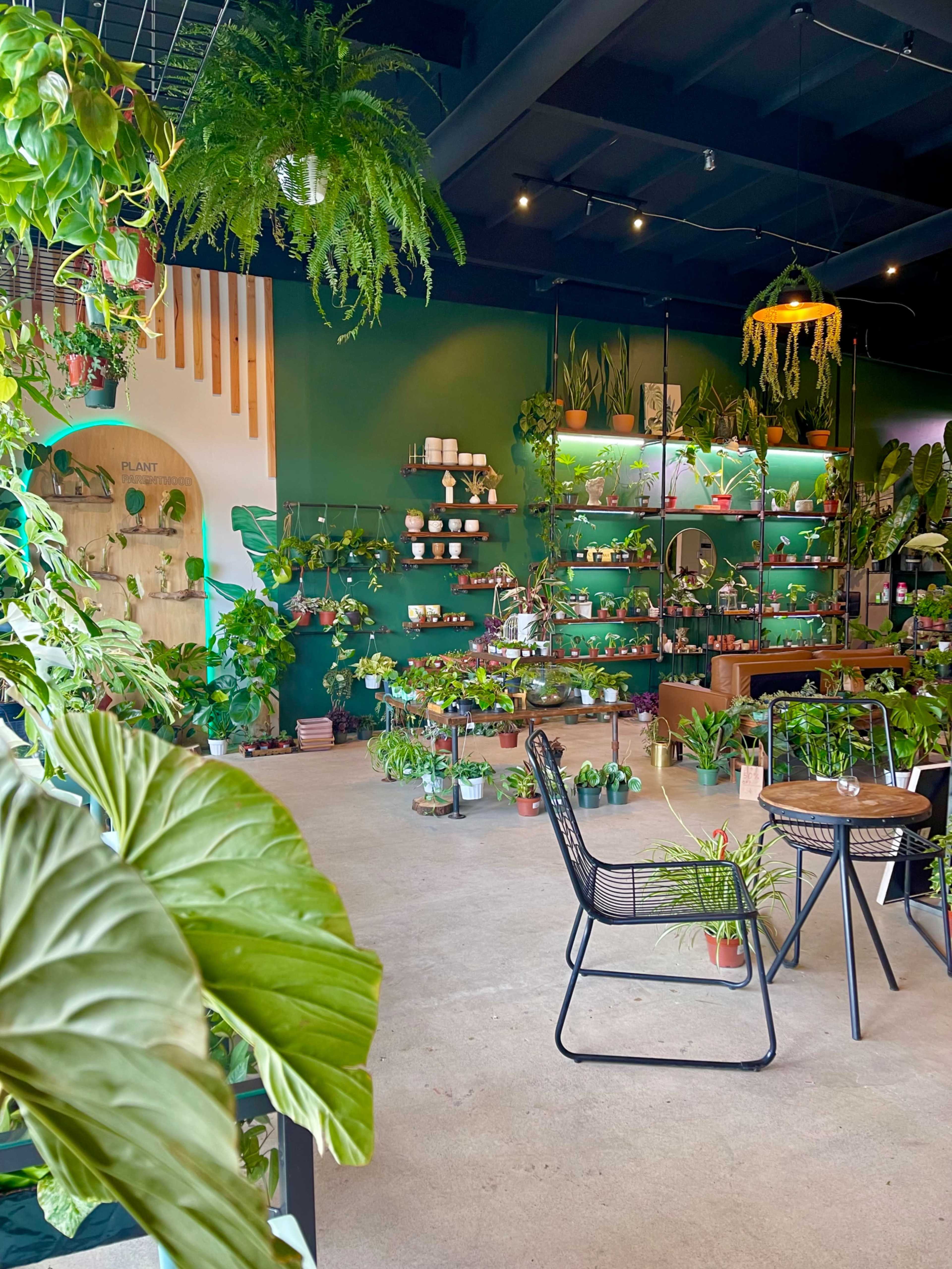 A plant shop interior filled with various potted plants and green decor, featuring wooden shelves against a green wall.