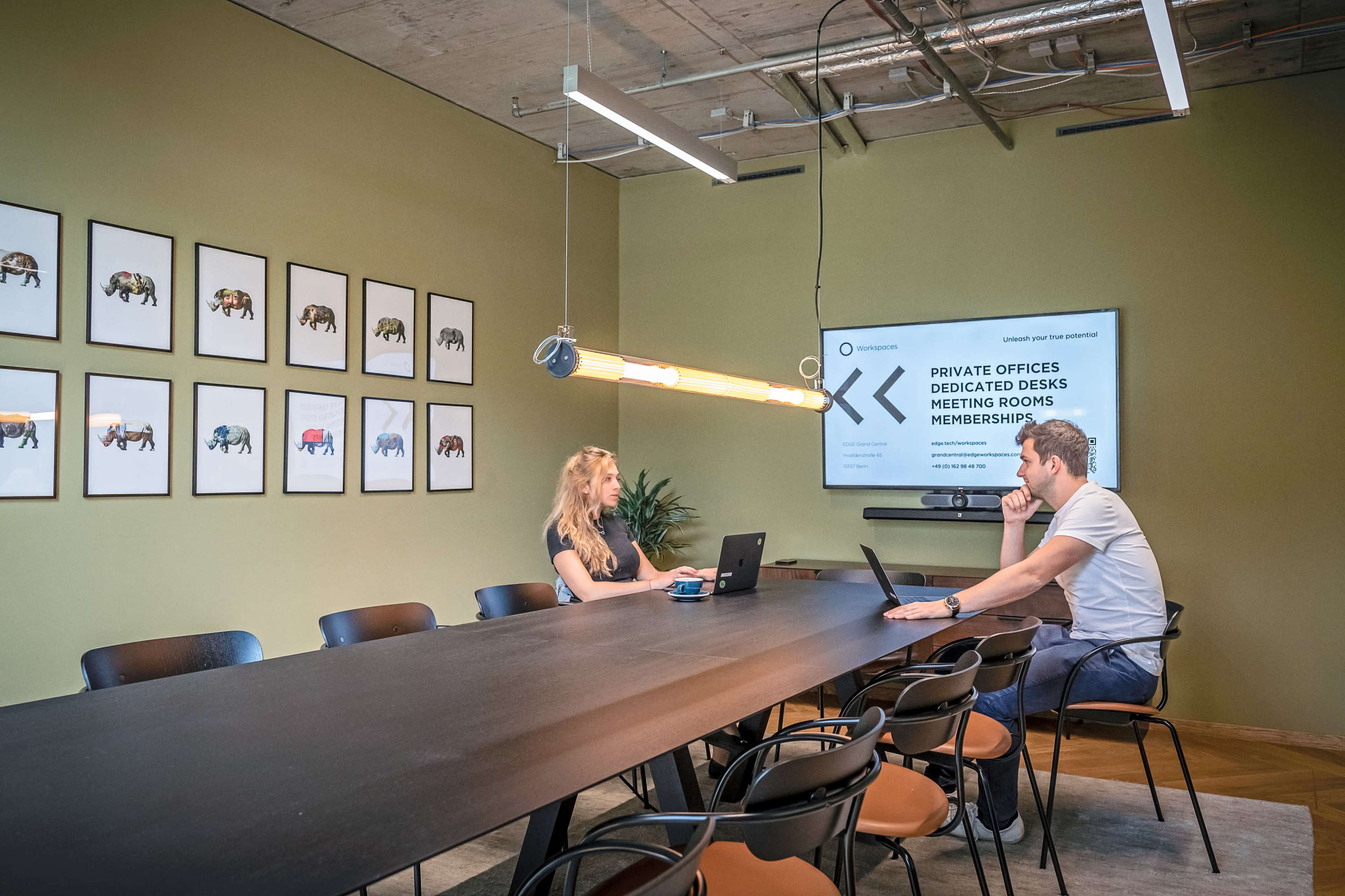 A woman and a man sit at a long table in a meeting room, each working on their laptops, while framed animal pictures adorn the wall behind them.