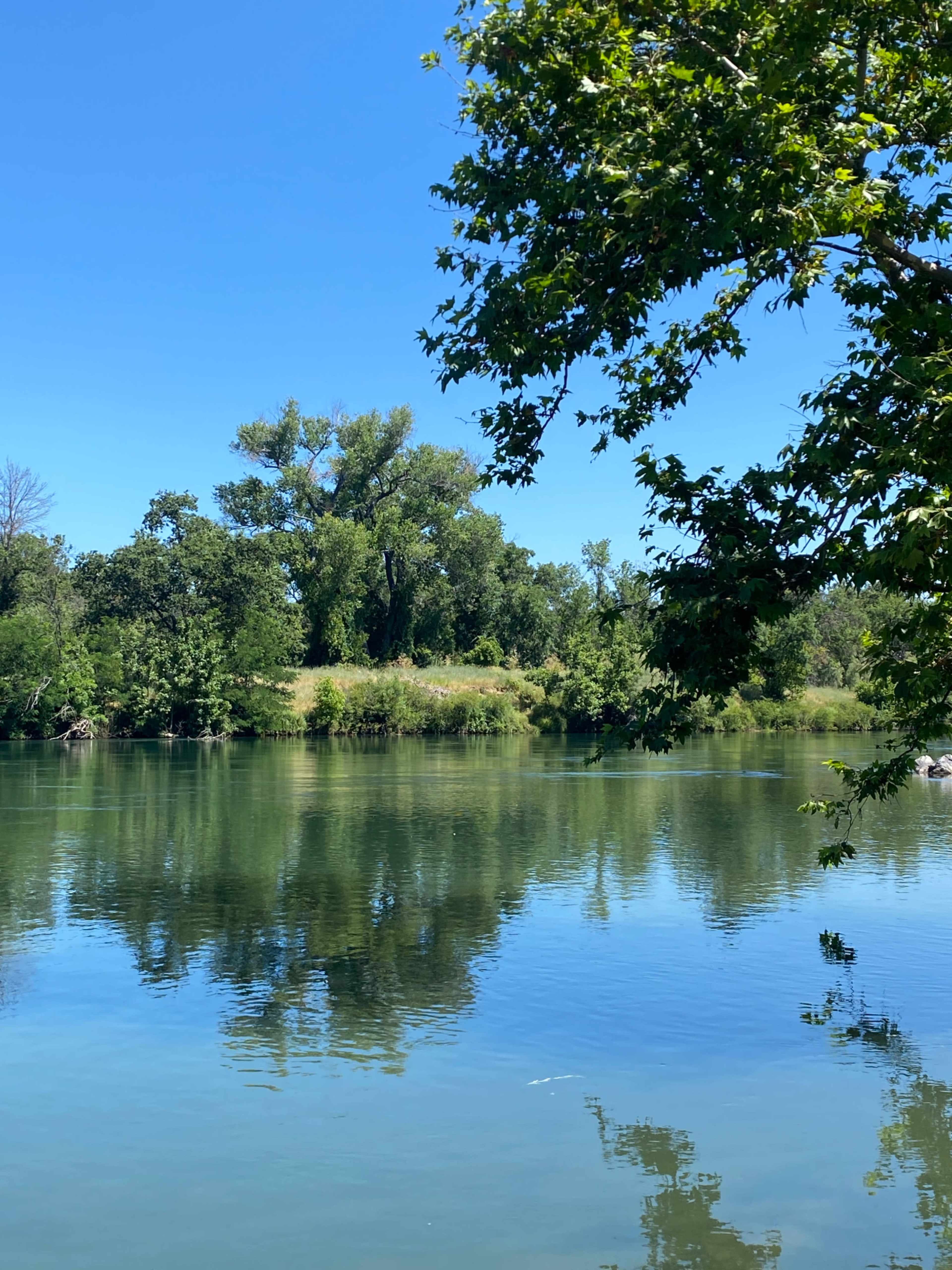 A calm river reflects the surrounding green trees and a clear blue sky.