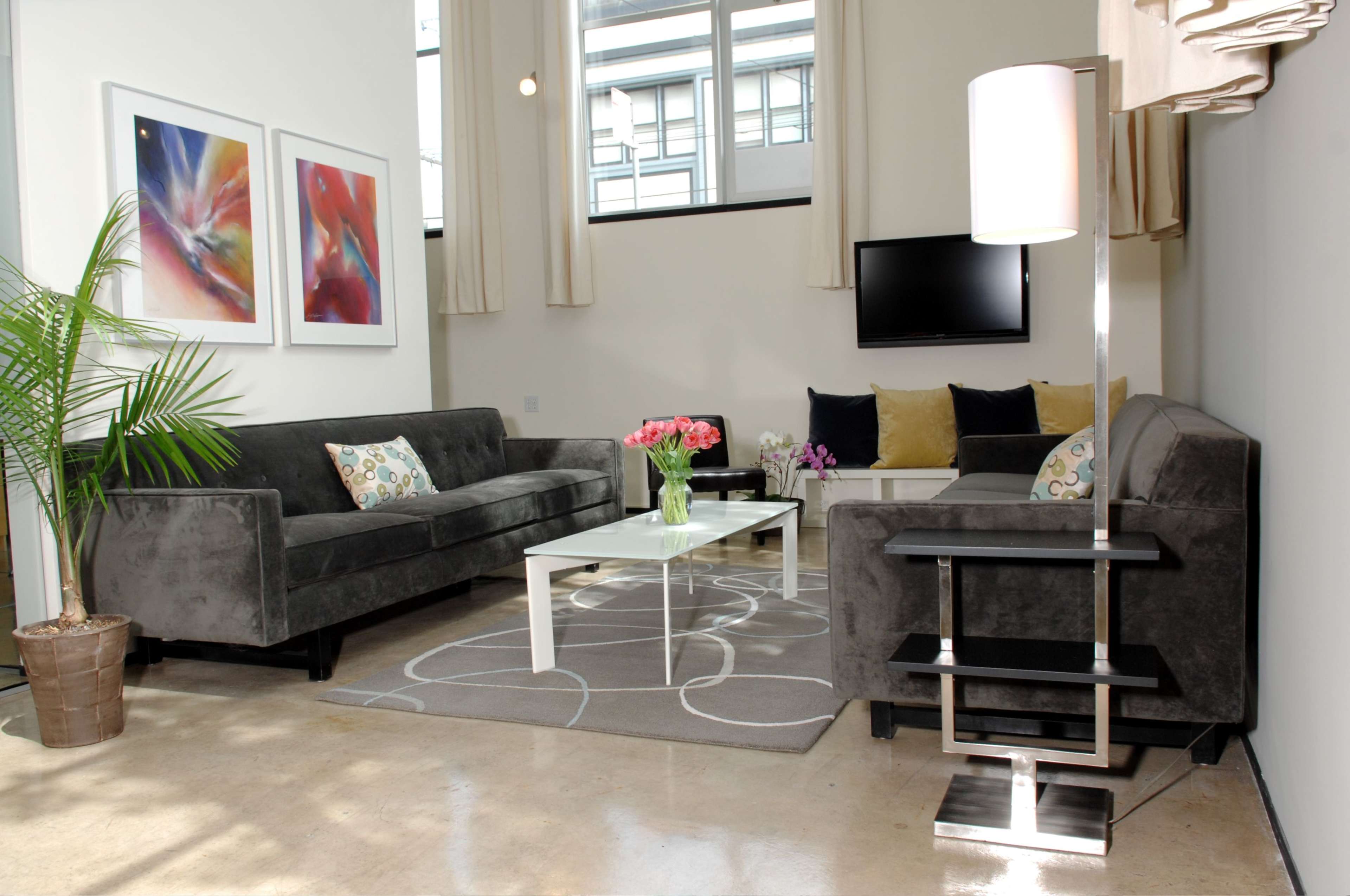 A modern living room featuring two gray sofas facing a coffee table, decorative artwork on the walls, and a vibrant plant in the corner.