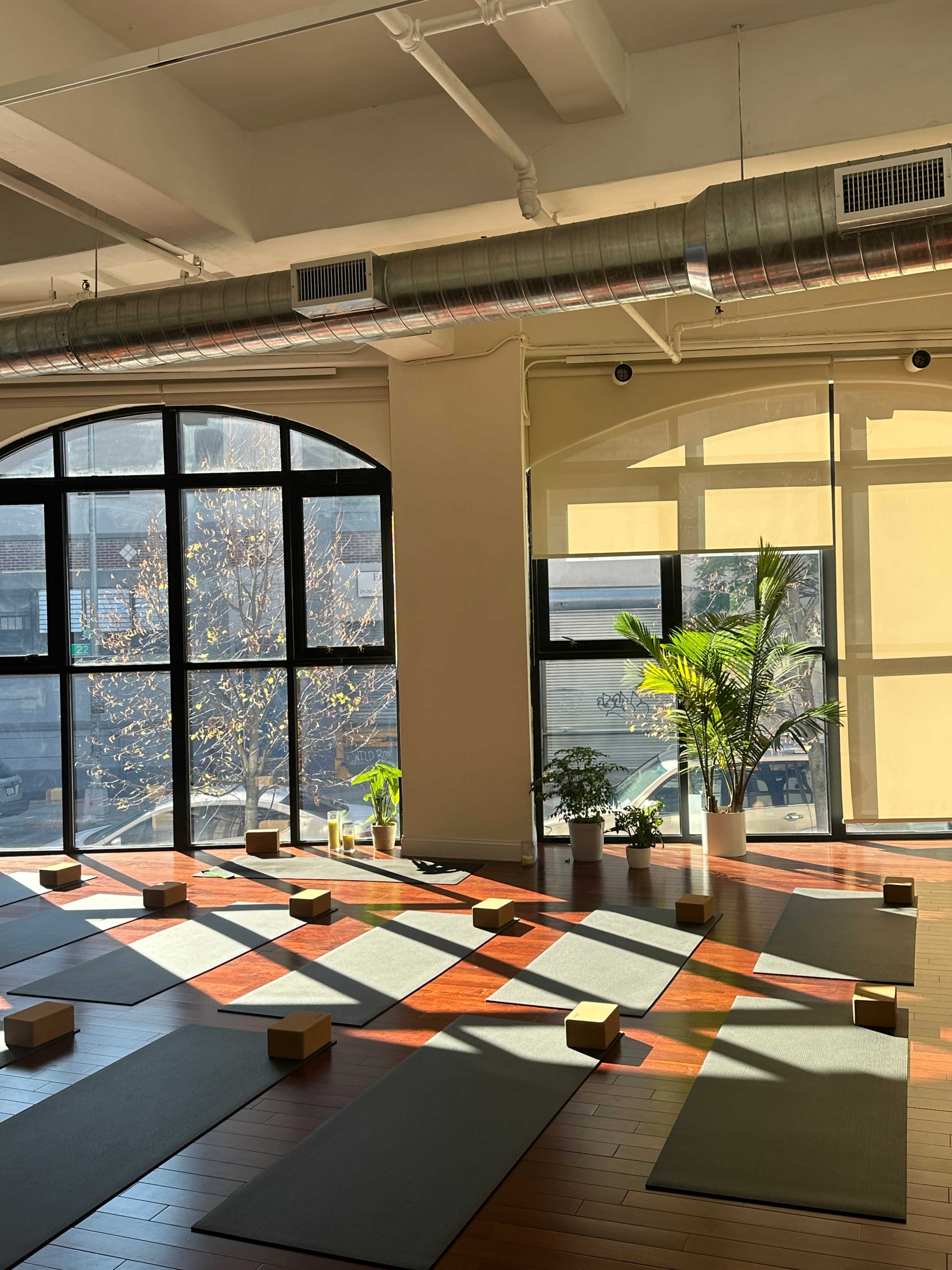A sunlit yoga studio features green plants, wooden flooring, and yoga mats arranged neatly on the ground.