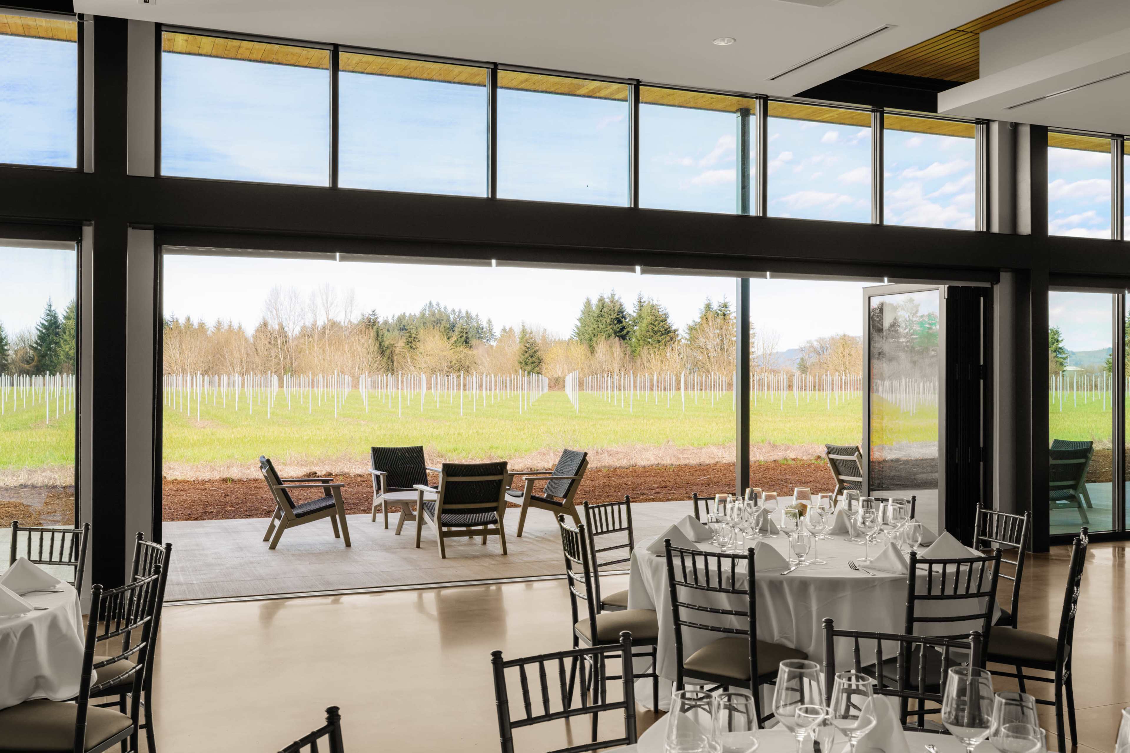 A modern restaurant interior features elegantly set tables while large windows offer a view of a vineyard with neatly aligned rows of grapevines.