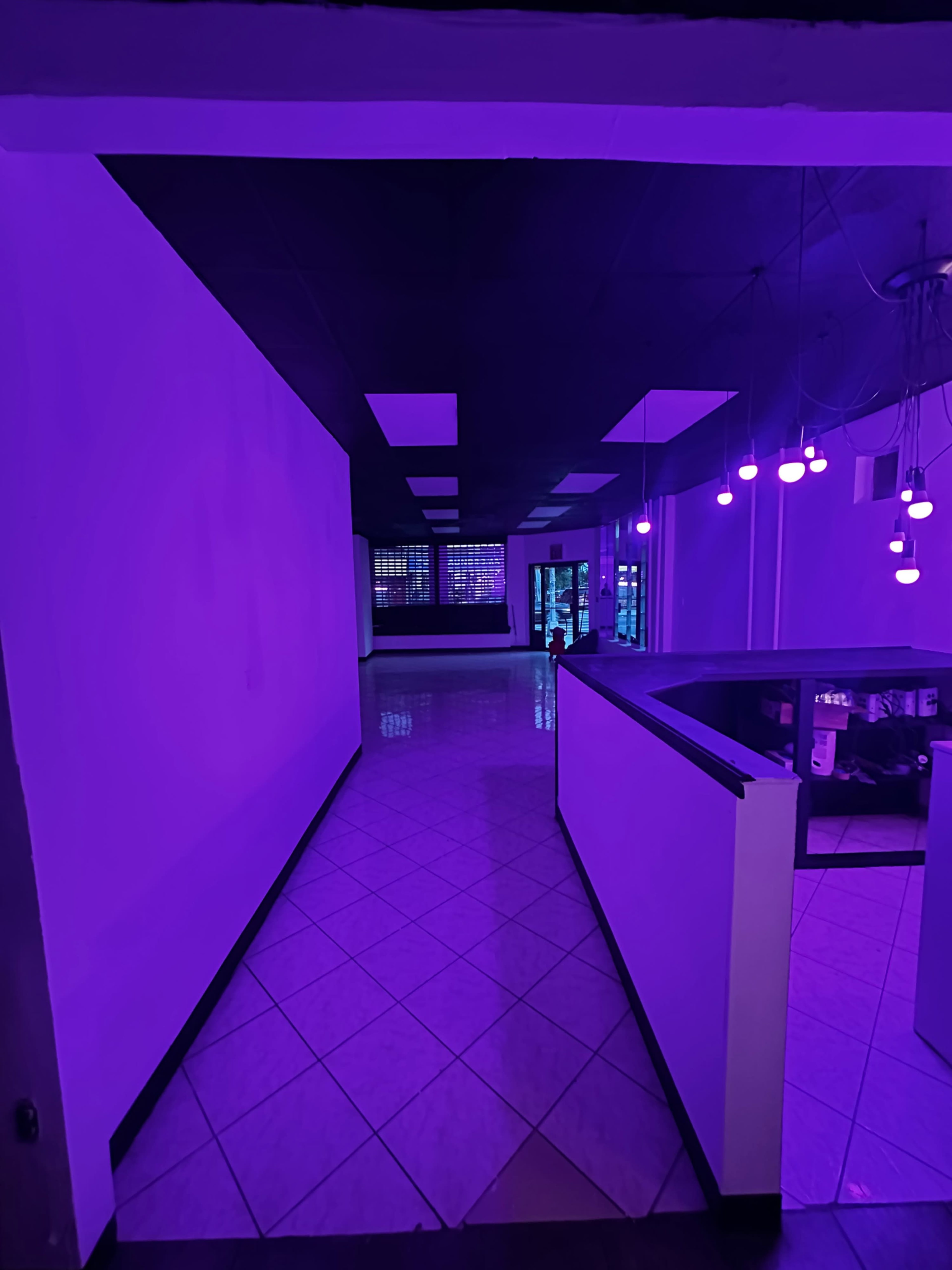 Flatbush event space Image in Little Caribbean, Brooklyn, NY