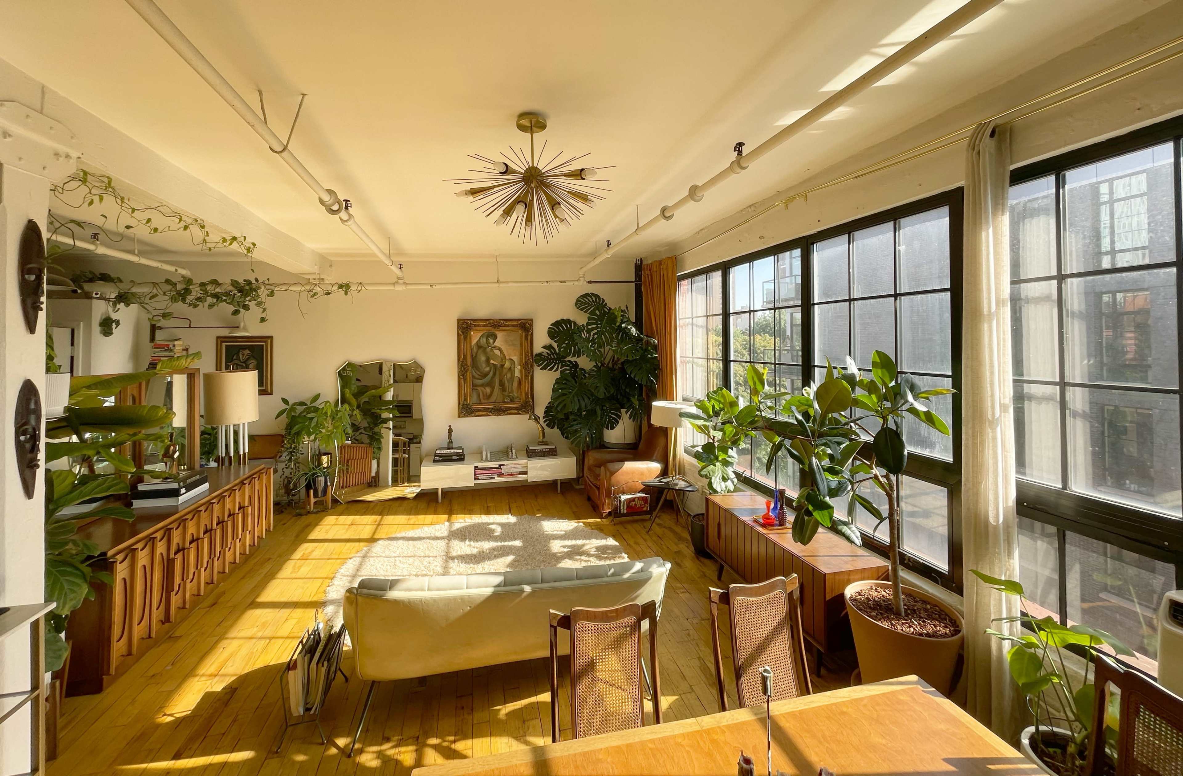 The room features large windows that fill the space with natural light, showcasing a mix of plants, furniture, and artwork.