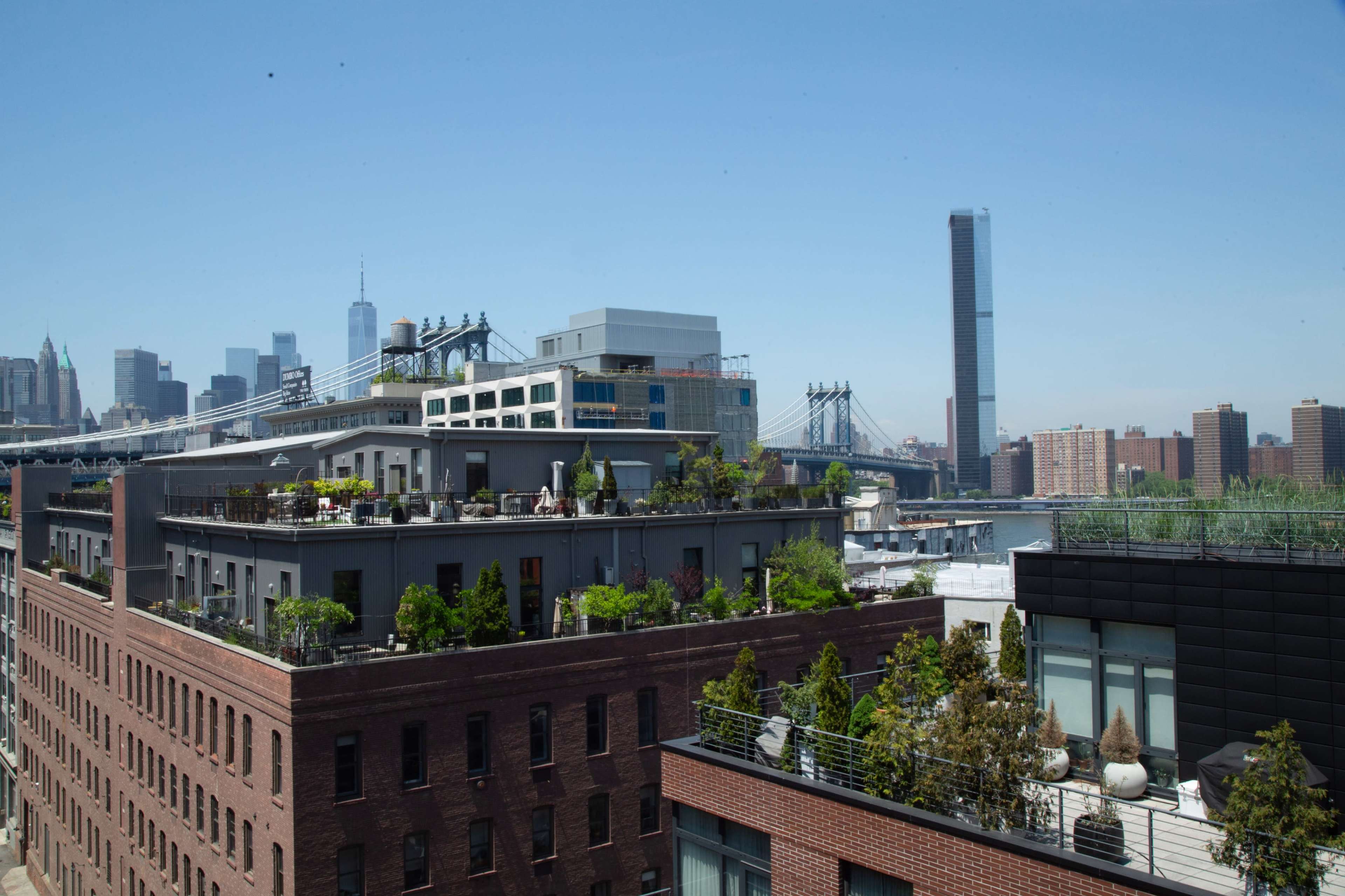 The image shows several rooftop gardens on buildings overlooking the East River and the Manhattan skyline, including the One World Trade Center and the Manhattan Bridge.