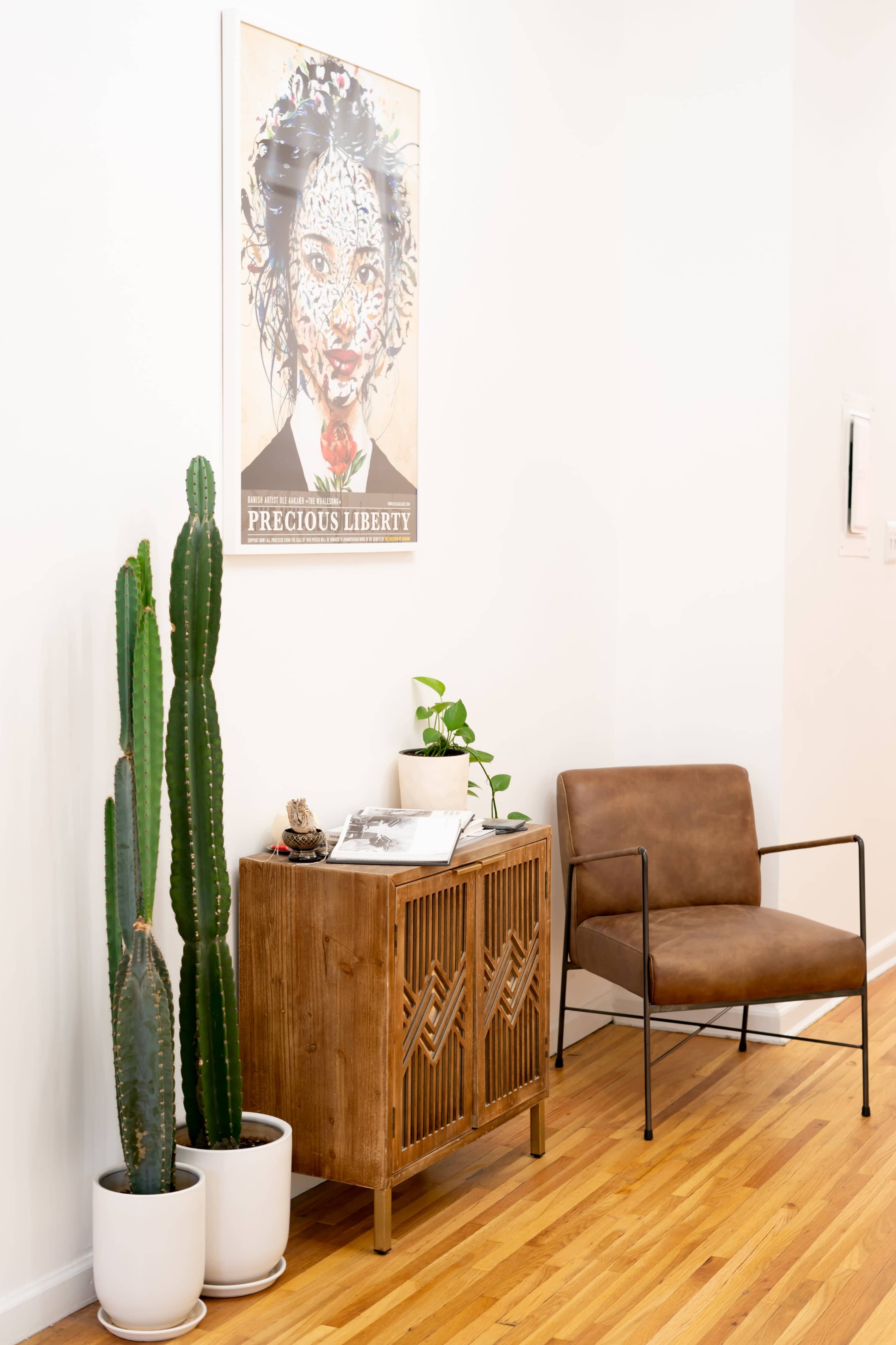 A modern interior space featuring a wooden cabinet, a brown chair, two potted plants, and a framed poster on the wall.