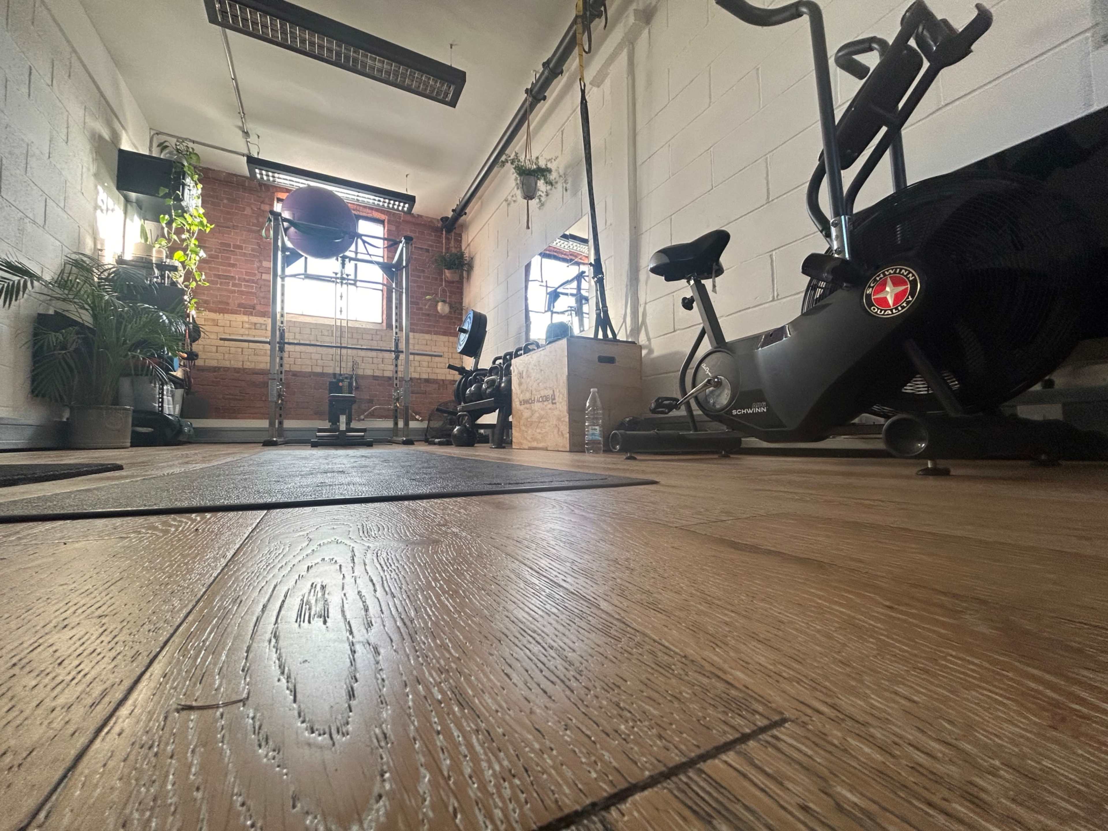 The image shows a workout space with exercise equipment, such as an elliptical and a stationary bike, on wooden flooring with plants and a large fitness ball in the background.