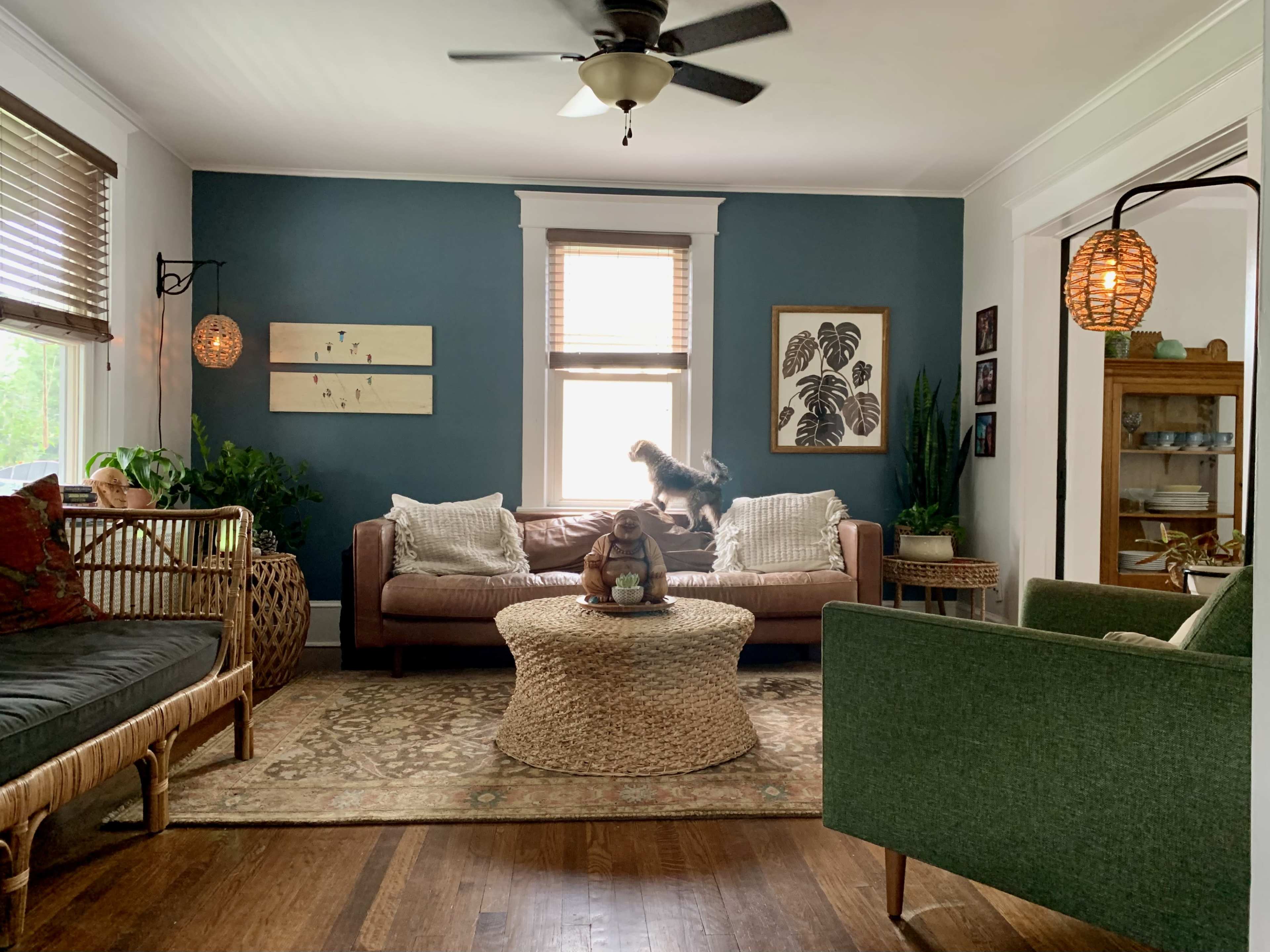 The living room features two sofas, a round woven coffee table, and a small dog standing on the couch, with potted plants and light filtering through a window.