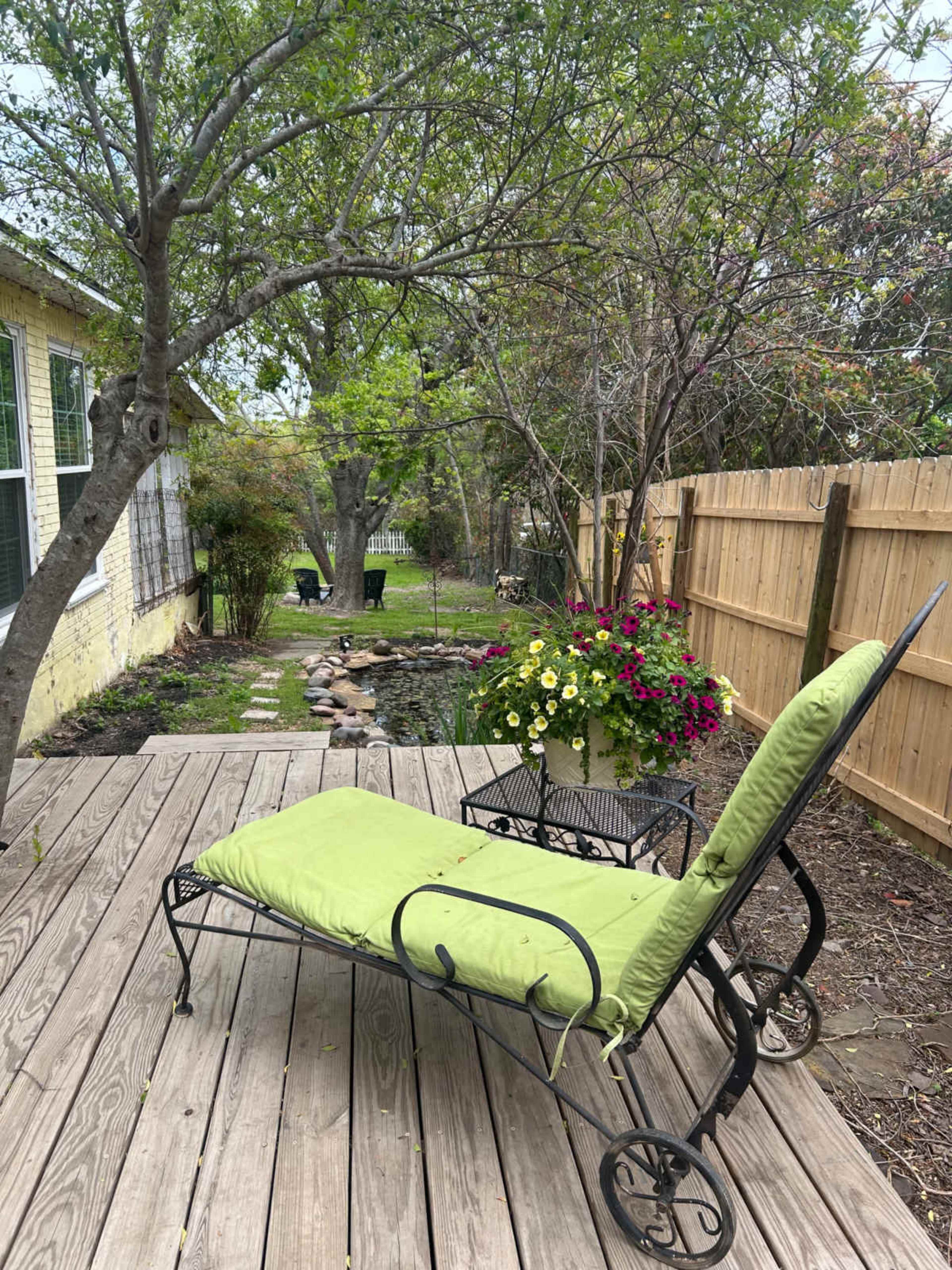 Bathed in light, modern meets historic 1940 Doctors Bungalo with covered poarch over looking  sweeping backyard and rustic cozy garden. Image in McKinney, Mckinney, TX