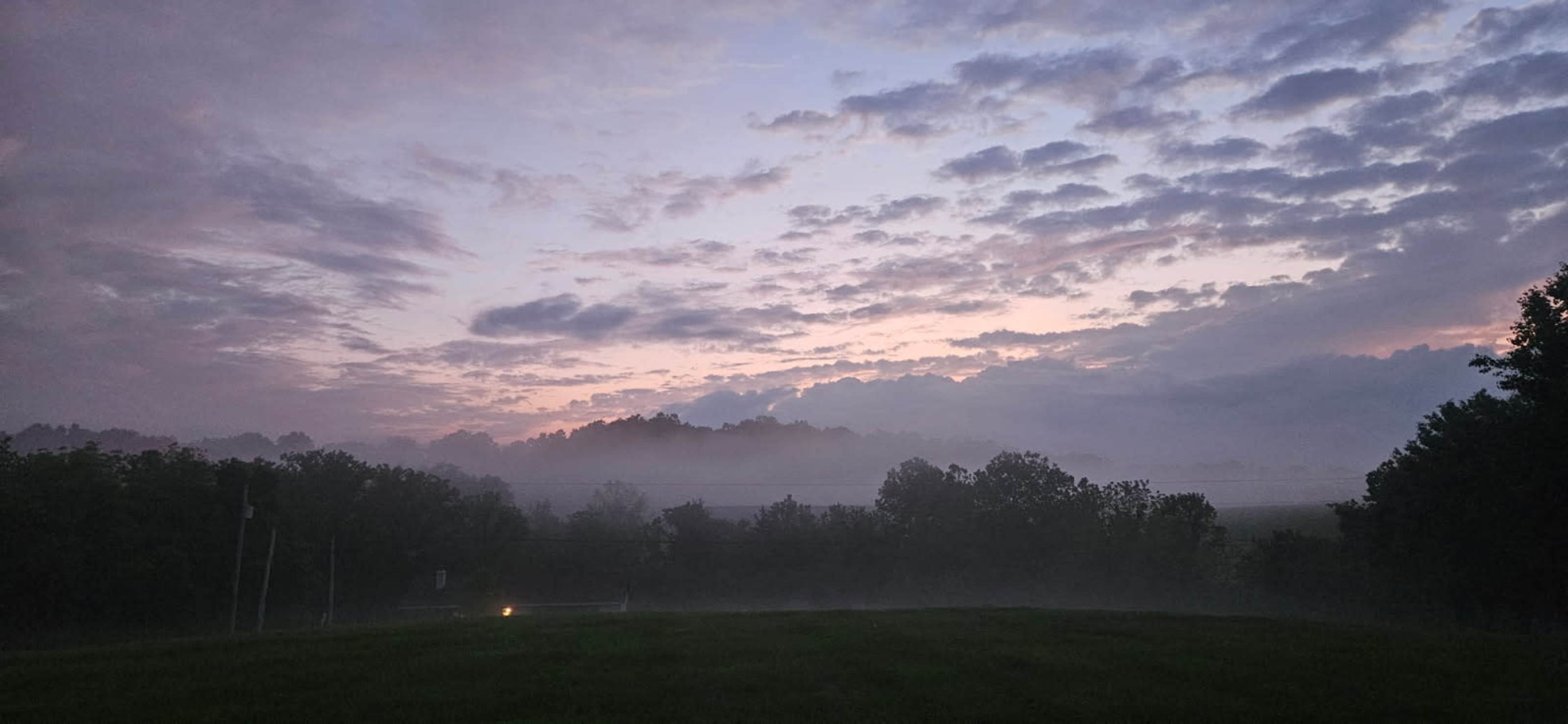 A foggy landscape at dawn features a muted sky with clouds and hints of morning light illuminating the distant trees.