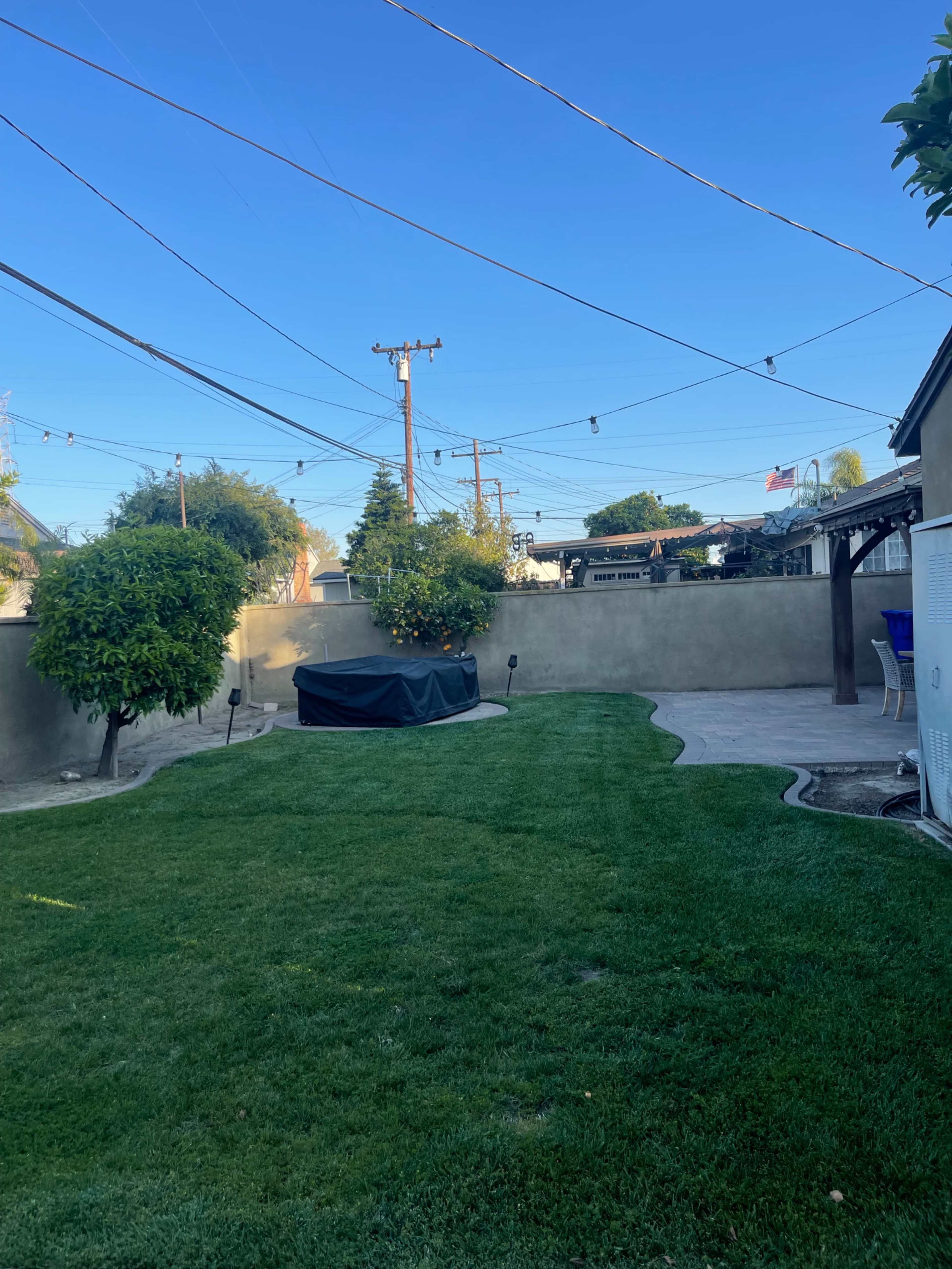 The image shows a backyard with a neatly maintained grassy area, surrounded by walls and power lines.