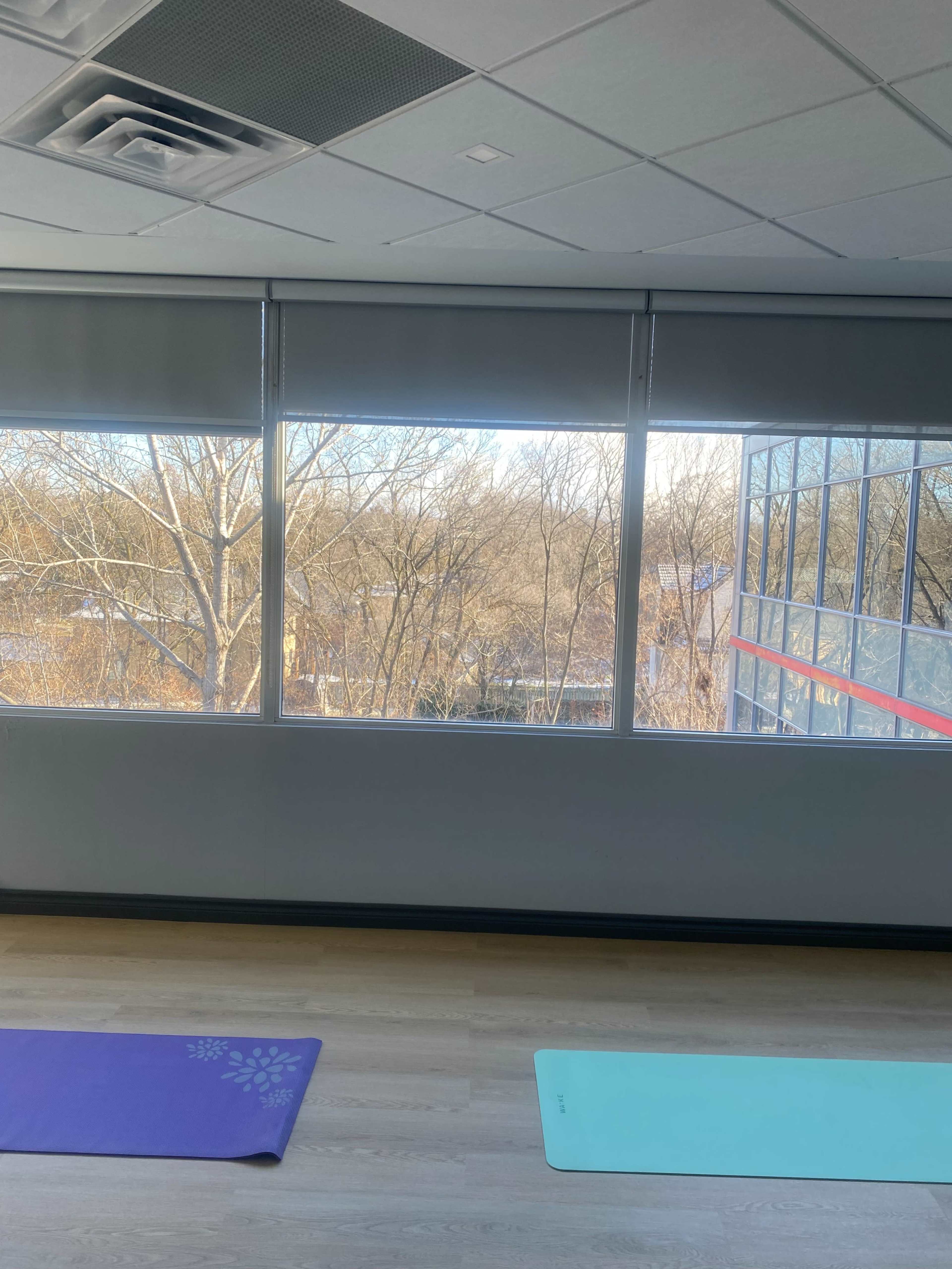 Mississauga Yoga Studio Image in Mineola, Mississauga, ON