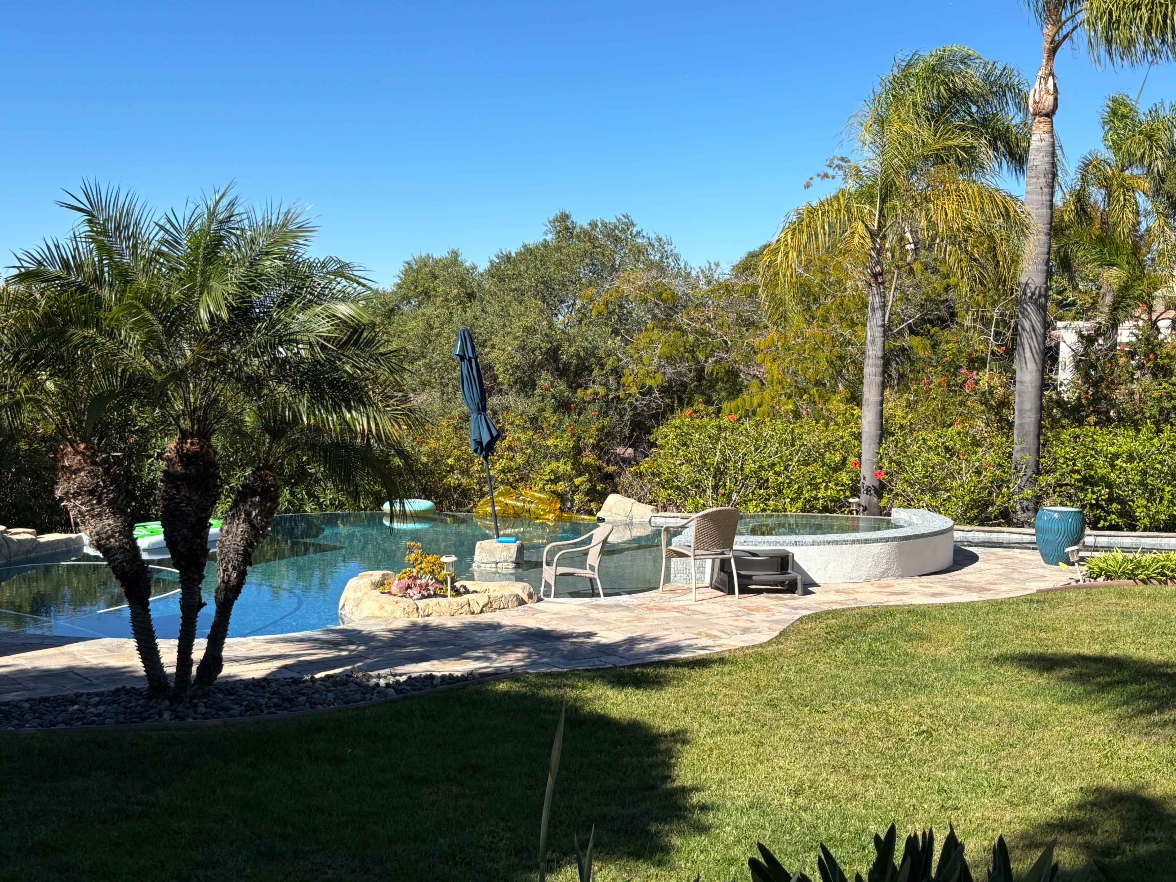 The image shows a landscaped backyard with a pool, spa, and lounge chairs surrounded by palm trees and greenery.