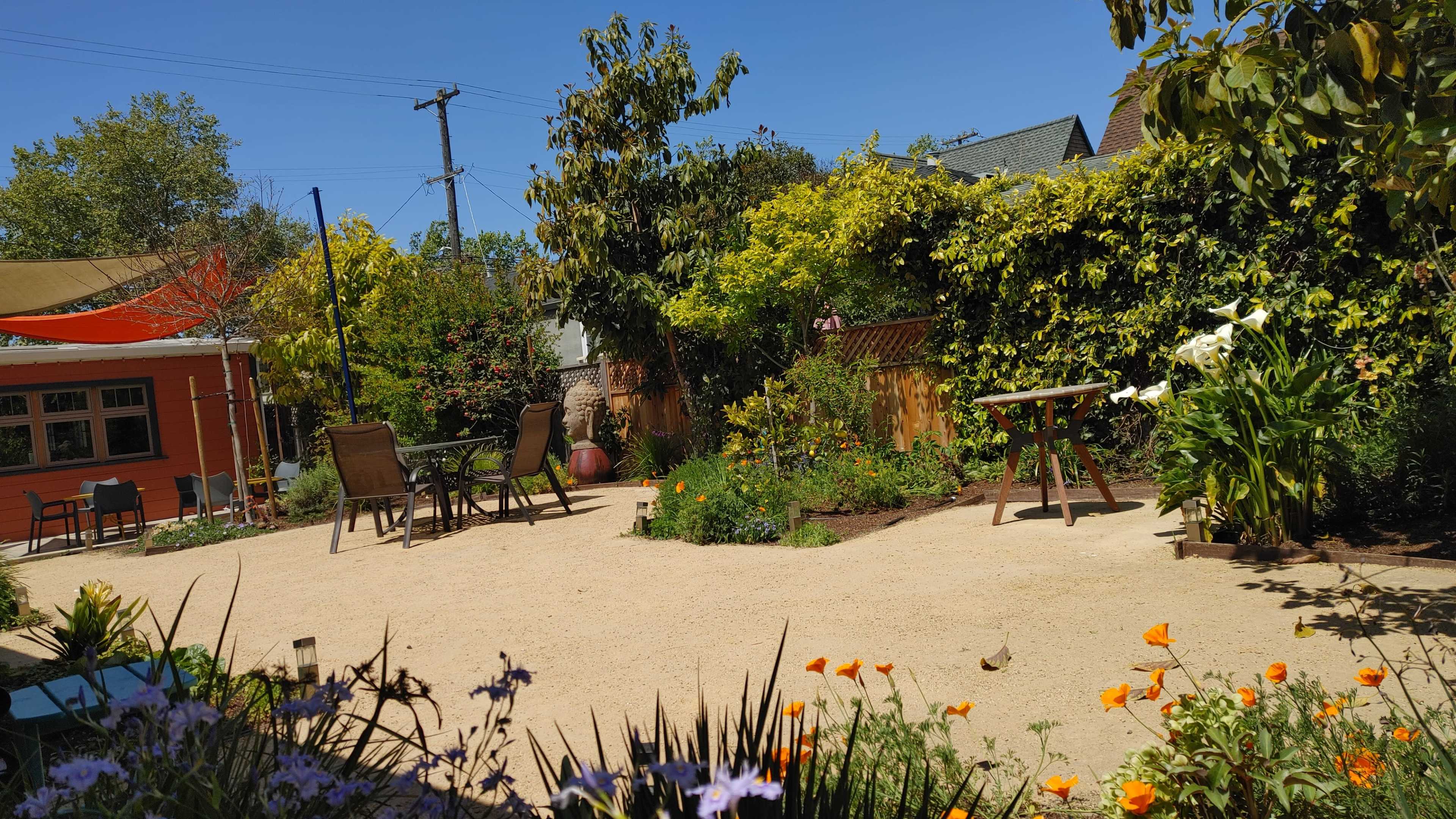 The scene shows a sunny backyard with a sandy area, wooden furniture, and various plants and trees.