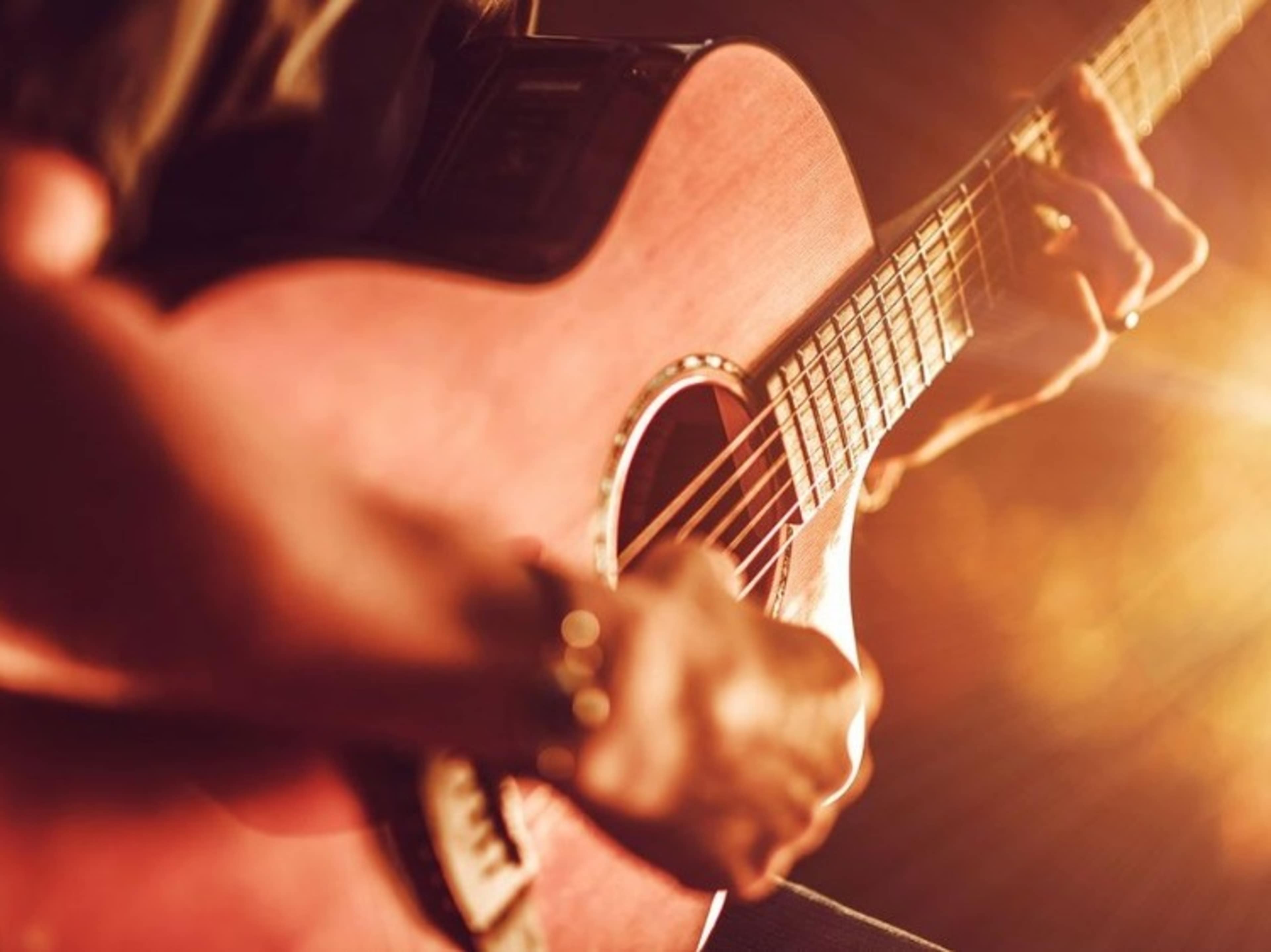 Live Musician (Acoustic Guitar)