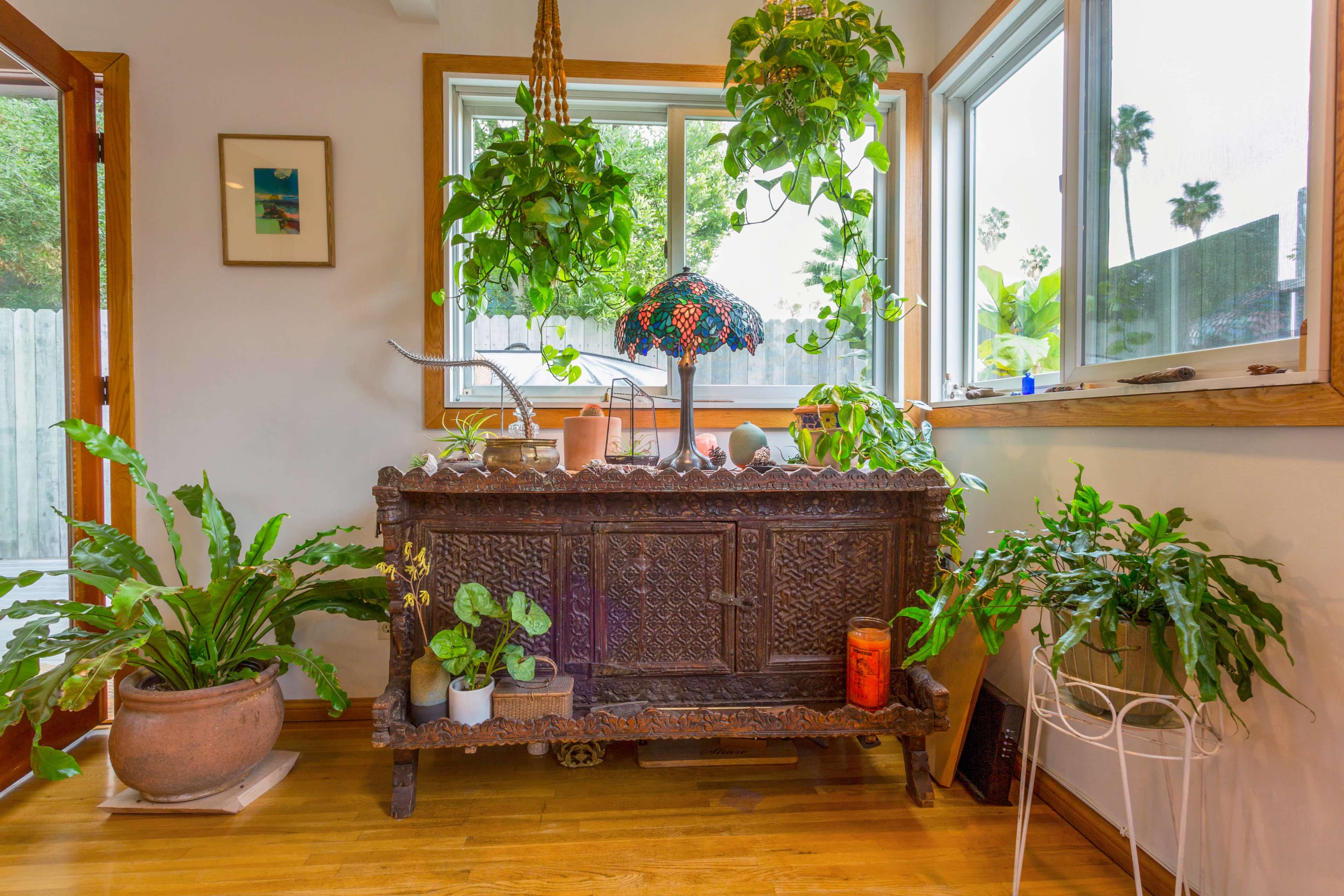 A wooden chest sits in a sunlit corner surrounded by various potted plants and a decorative lamp near large windows.