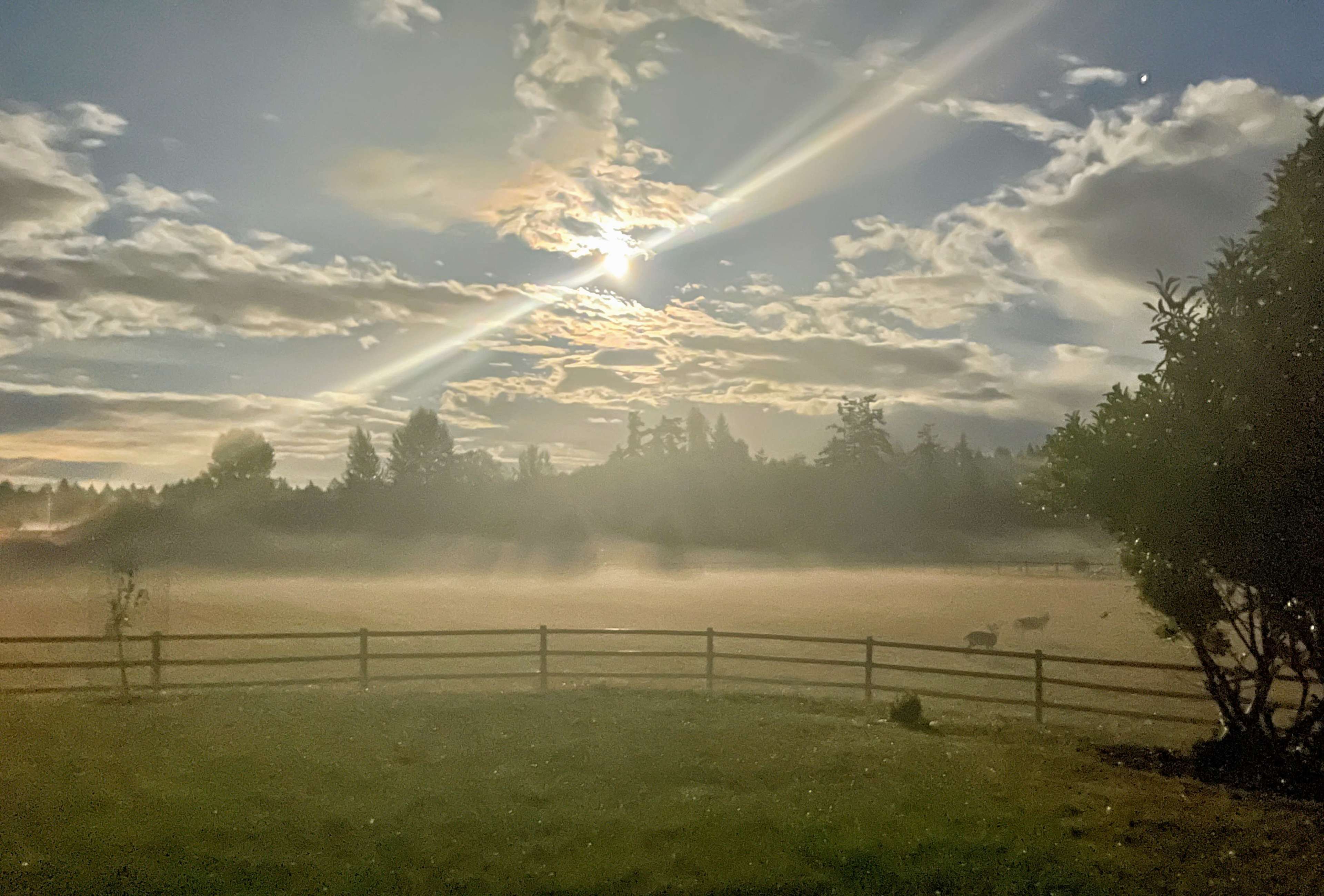A misty landscape at dawn with a low sun partially obscured by clouds and a wooden fence in the foreground.