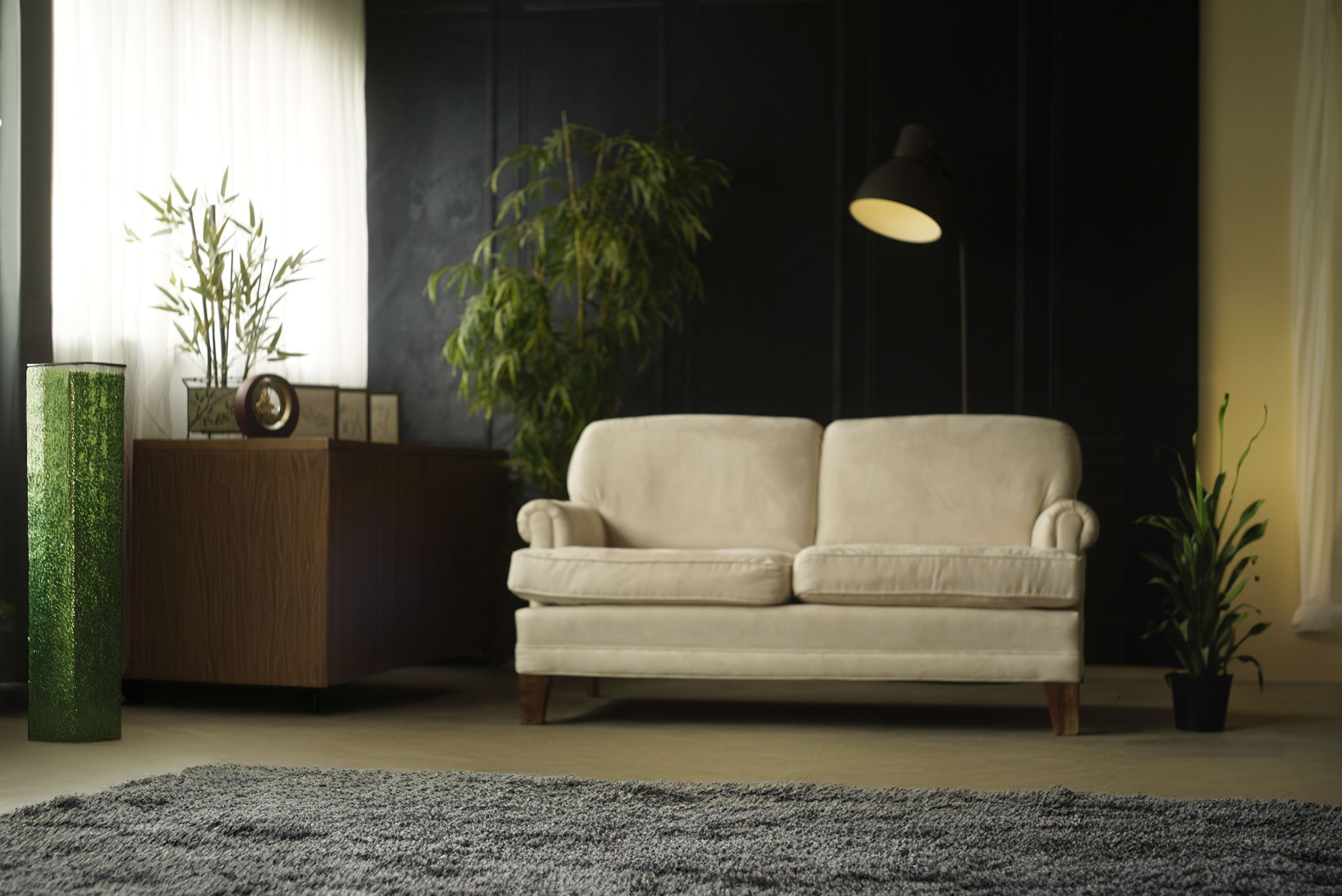The image shows a cozy living room featuring a light-colored sofa, a wooden cabinet, and a tall, green decorative plant, all set against a dark wall and illuminated by natural light.