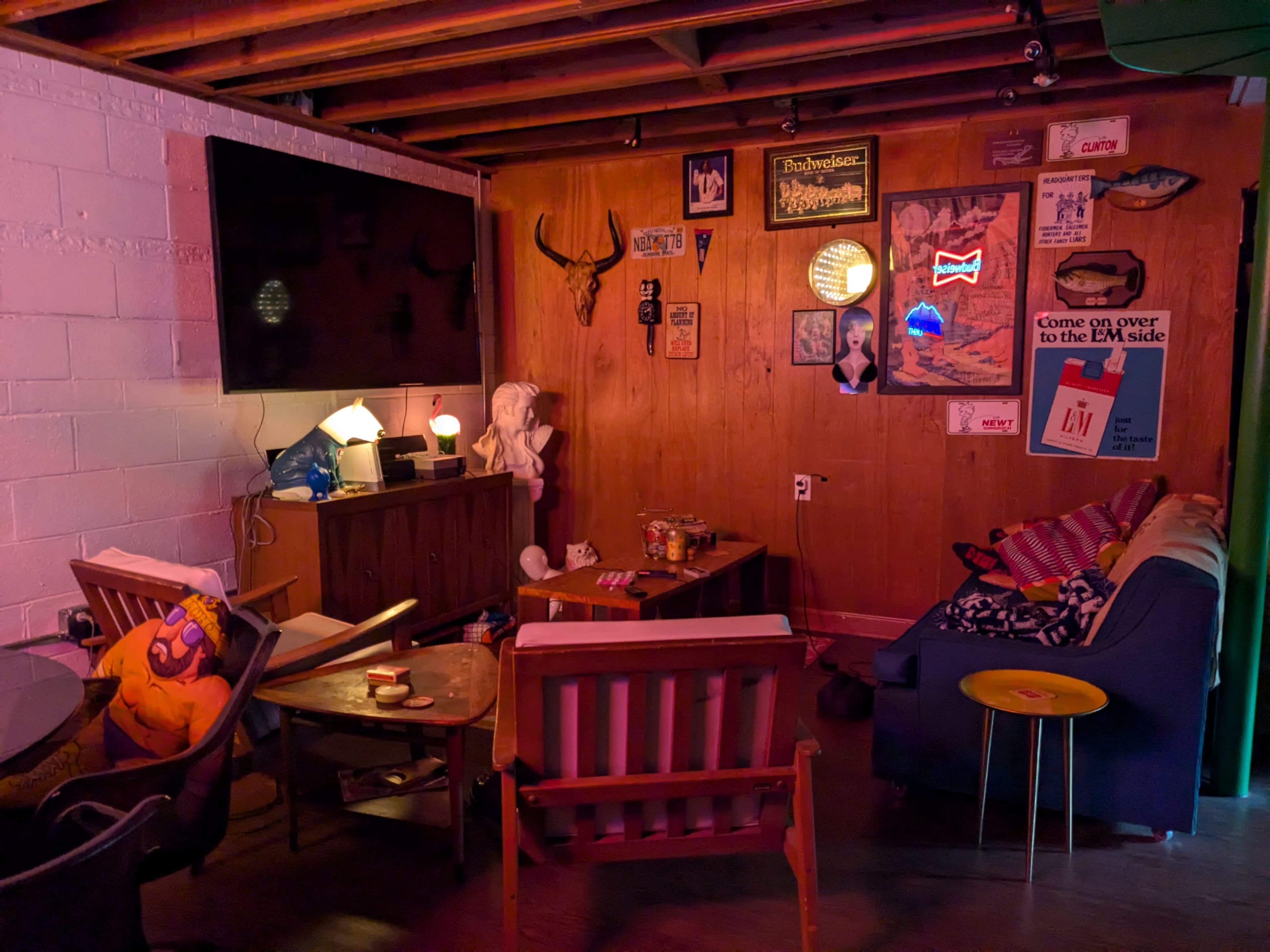 Cozy Basement Dive Bar Image in Delwoods Park, Greensboro, NC