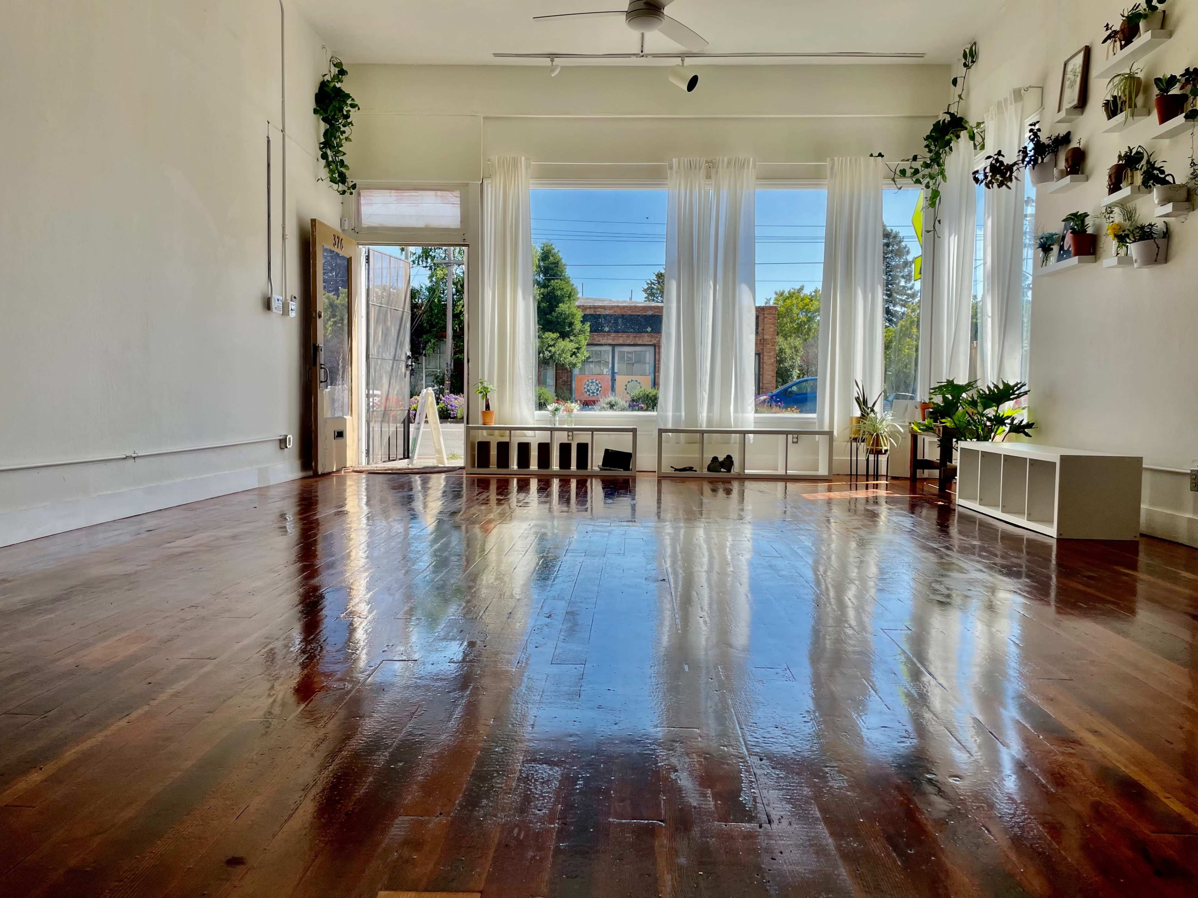A bright, spacious room with polished wooden floors, large windows letting in natural light, and plants decoratively positioned on shelves.